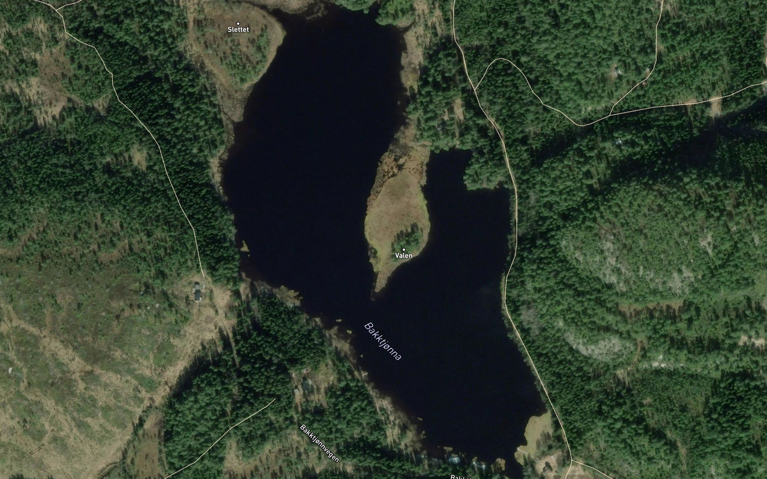 Bakktjorna