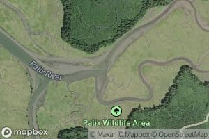 Middle Fork Palix River