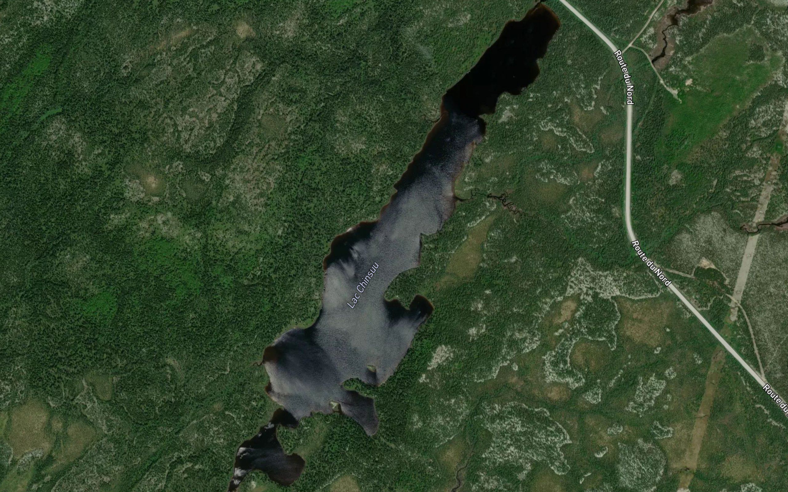 Lac Chinsuu