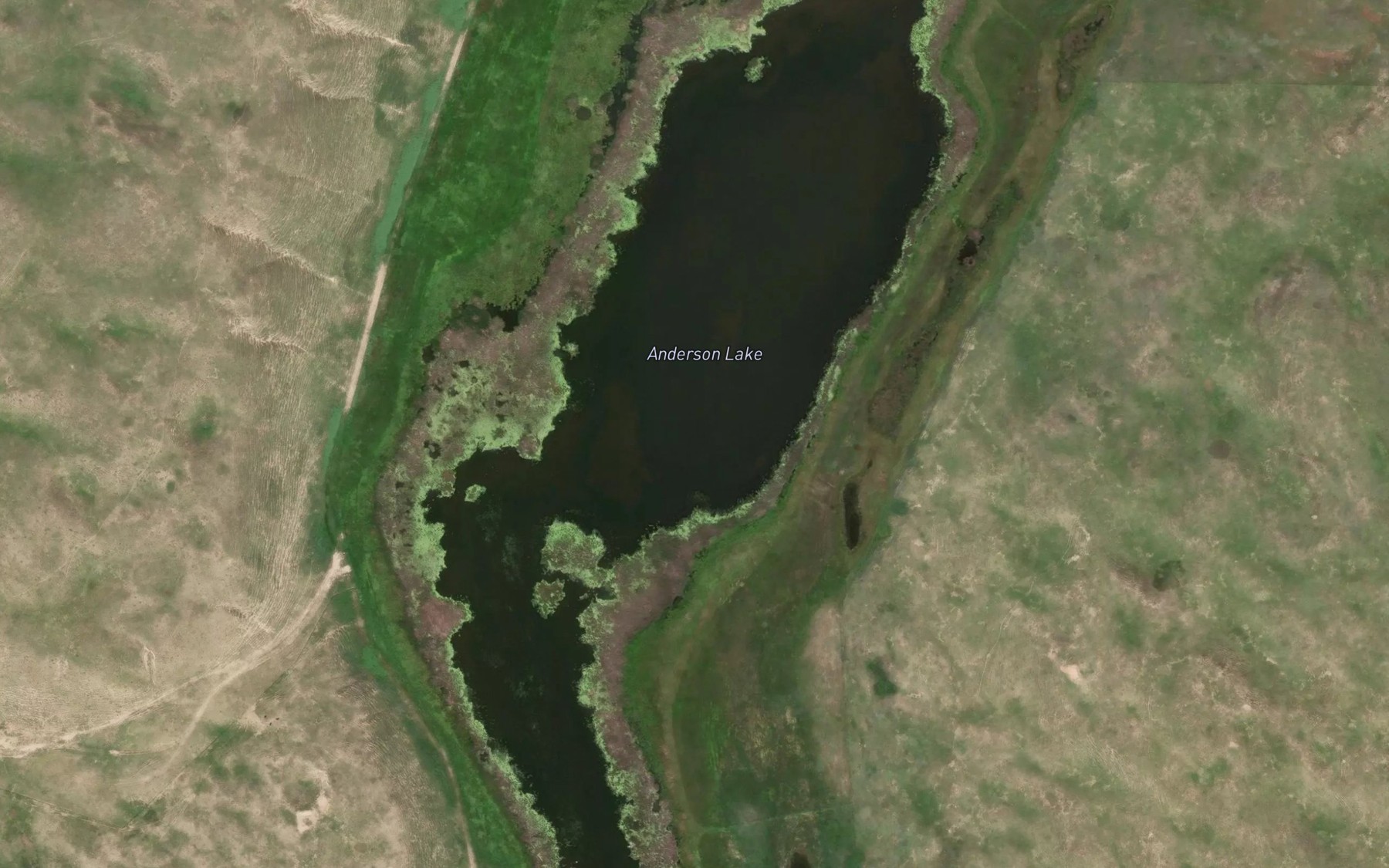 Satellite map of the Anderson Lake