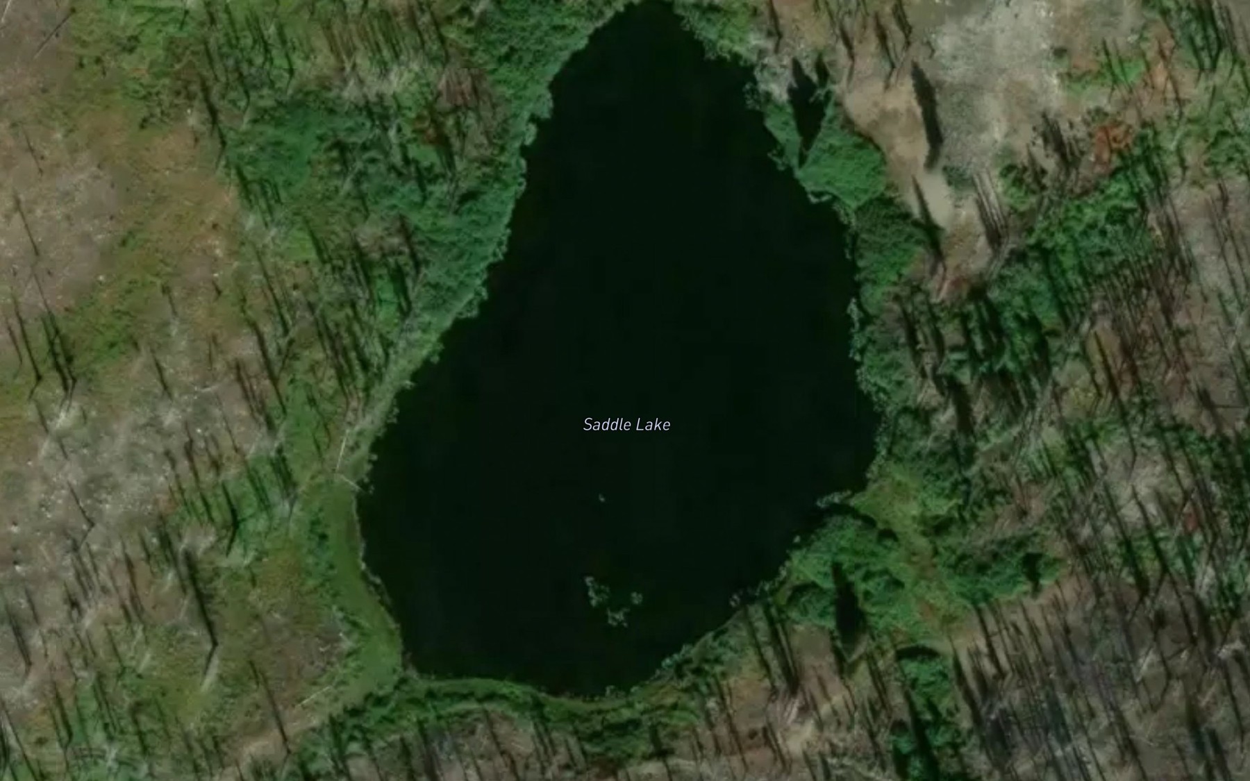 Satellite map of the Saddle Lake