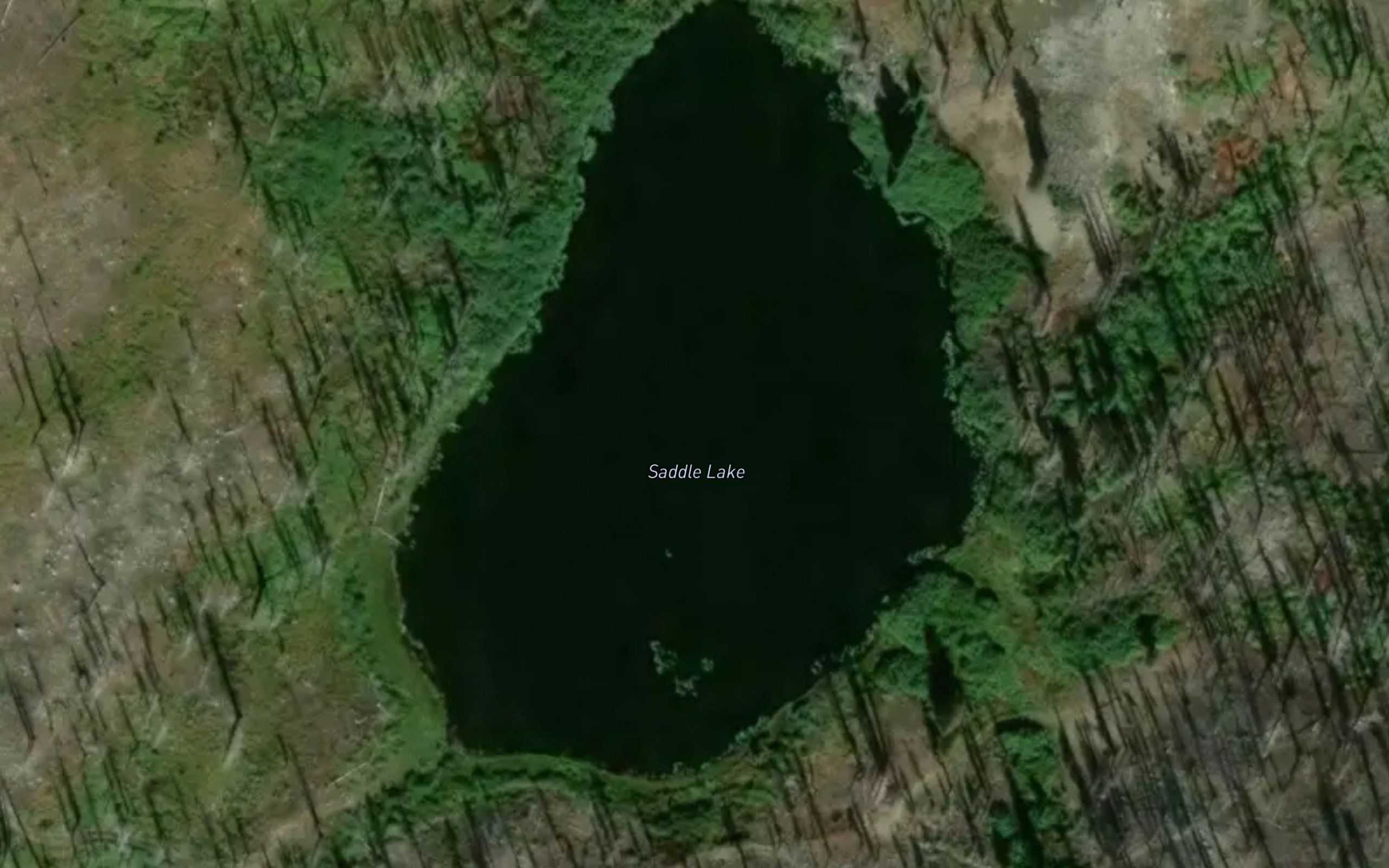 Saddle Lake