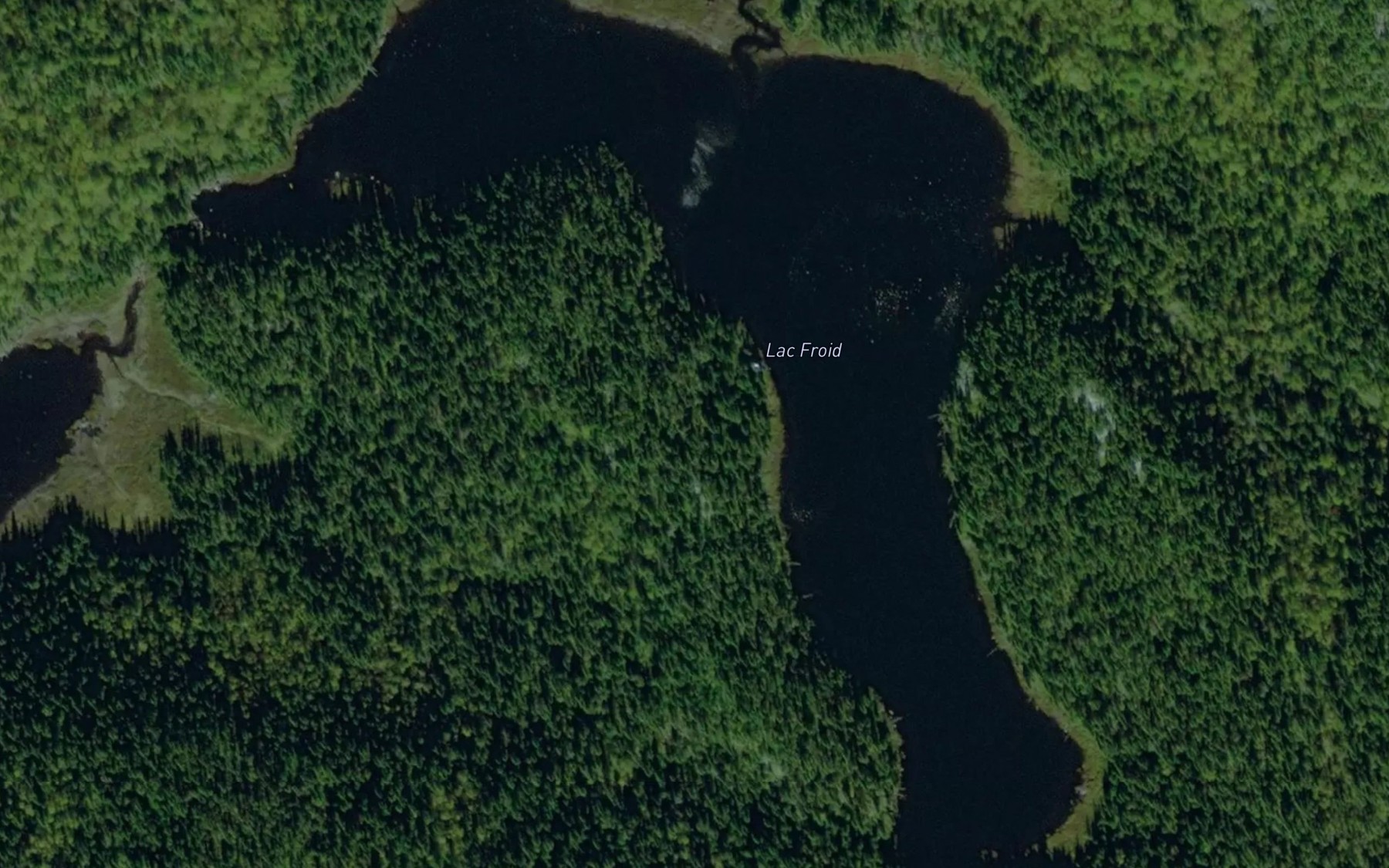 Satellite map of the Lac Froid