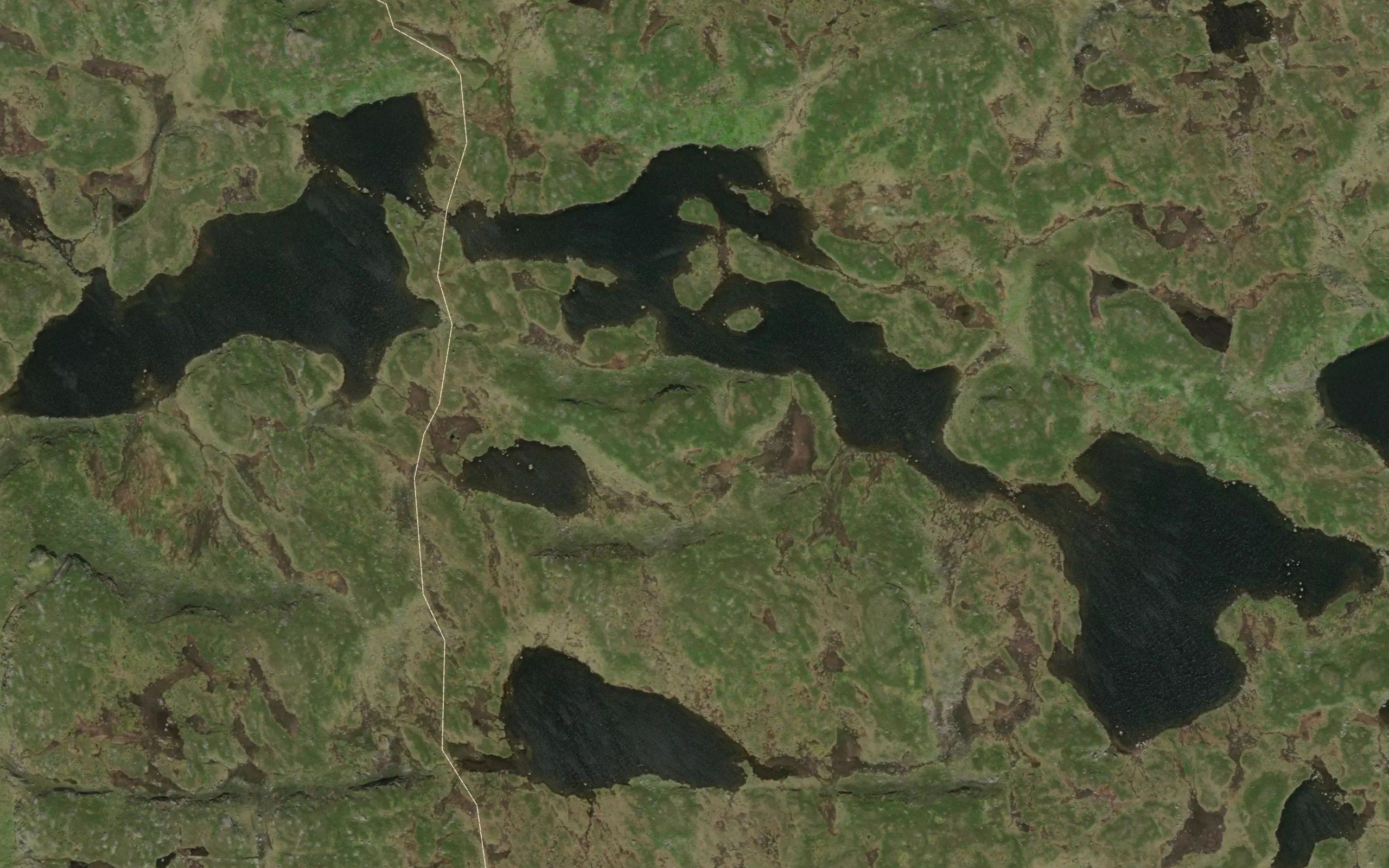 Reinshornvatni