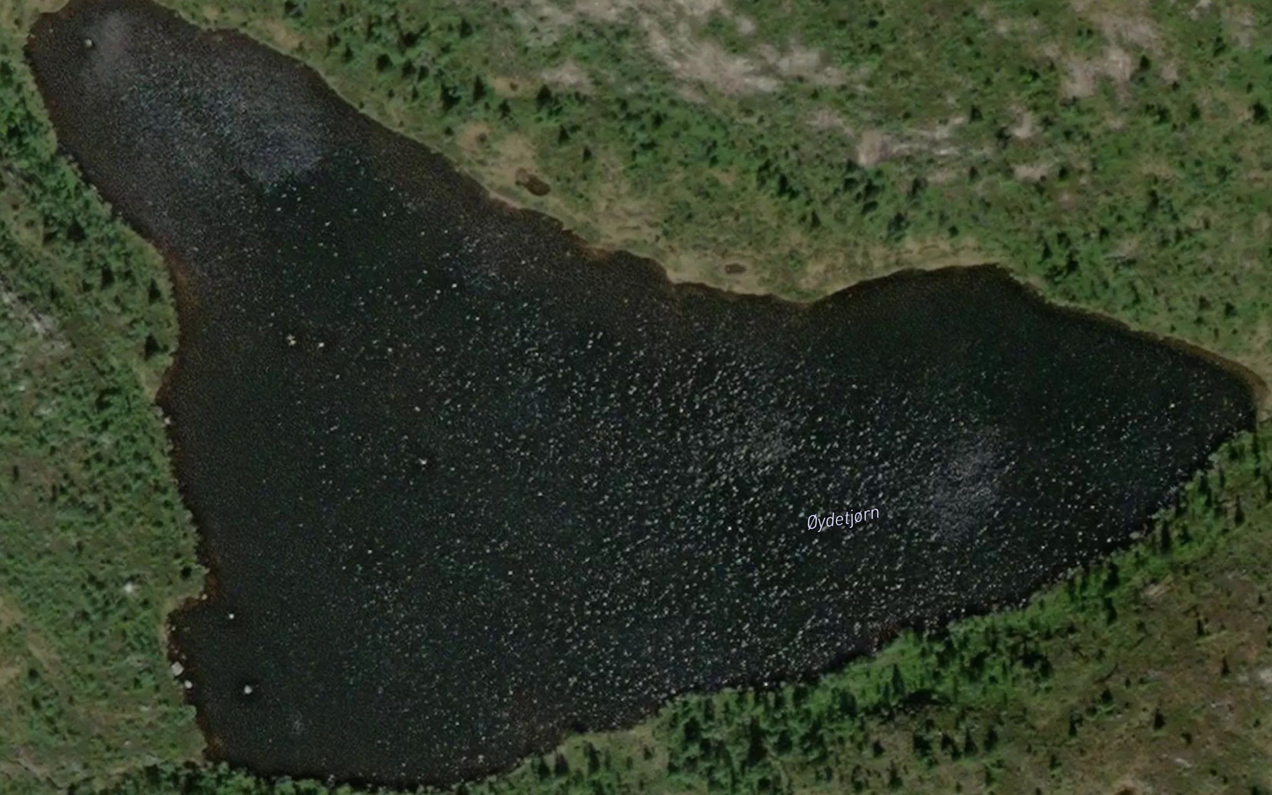 Oyetjorn