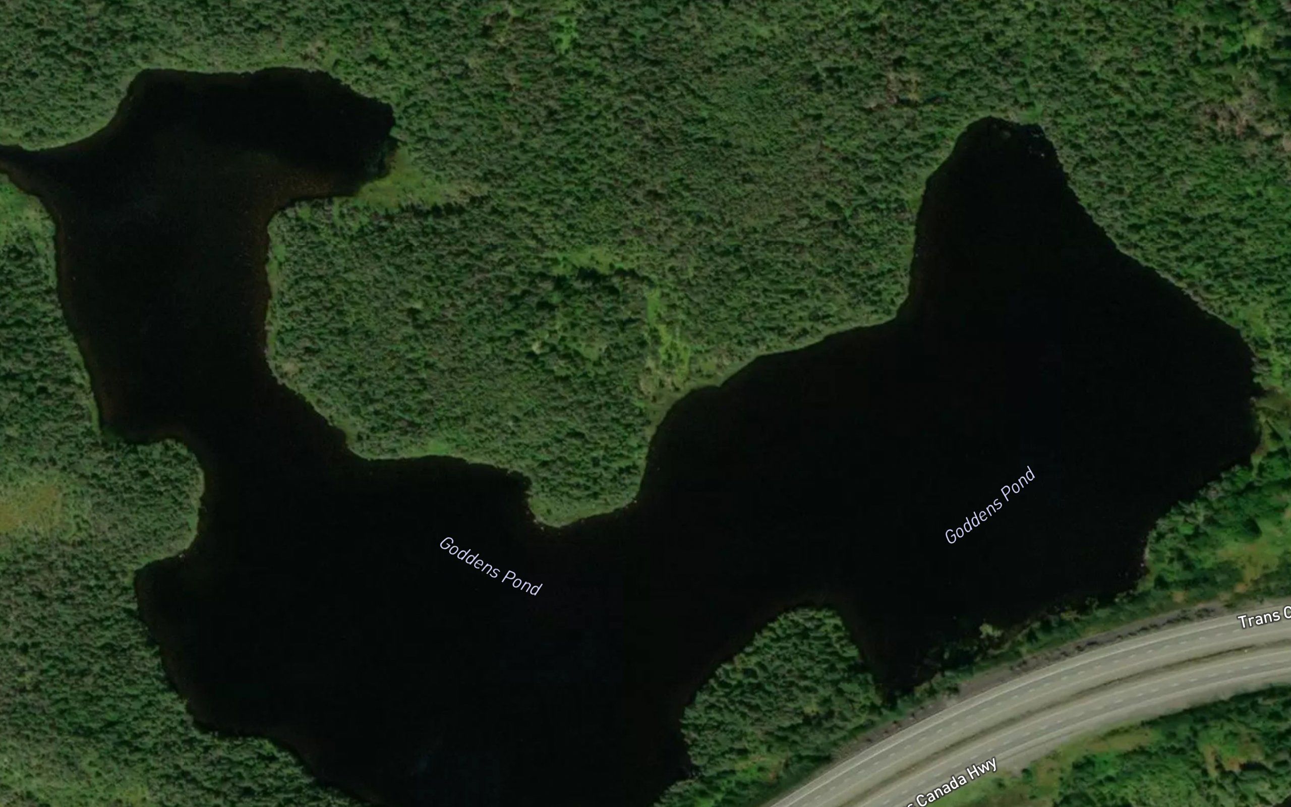 Goddens Pond