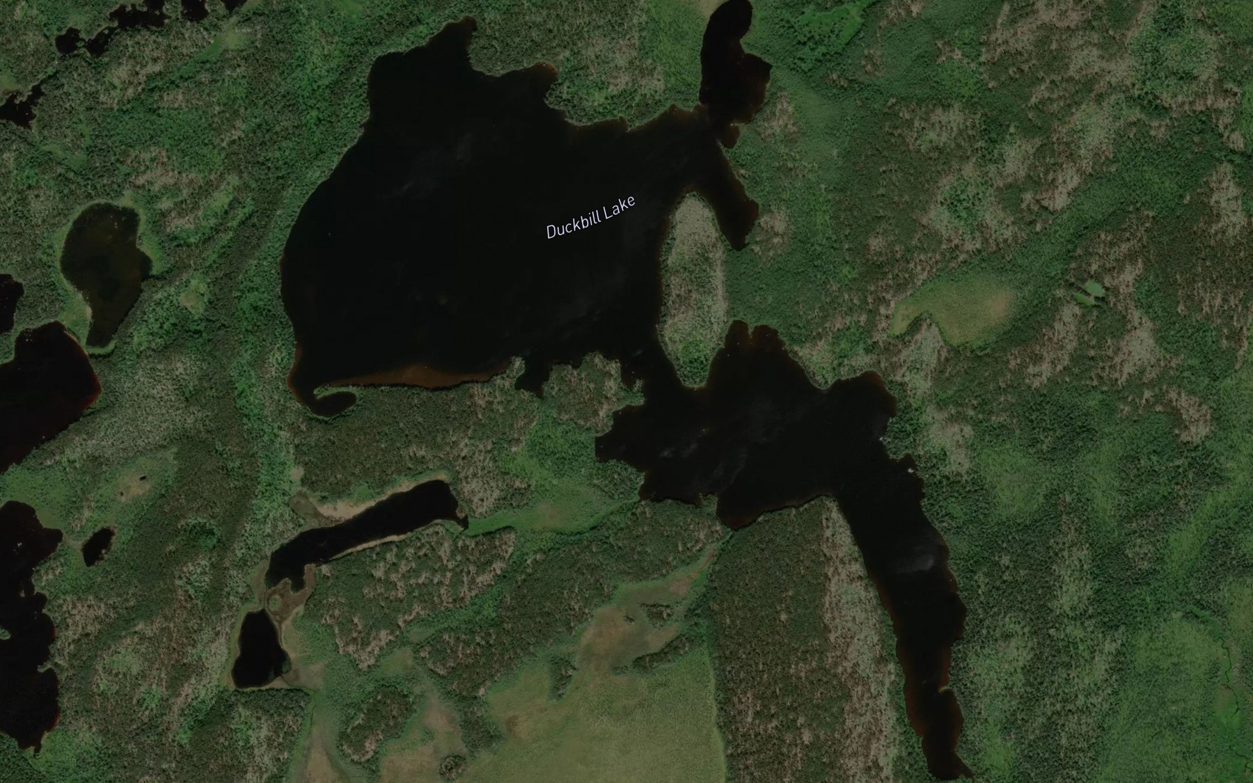 Satellite map of the Duckbill Lake