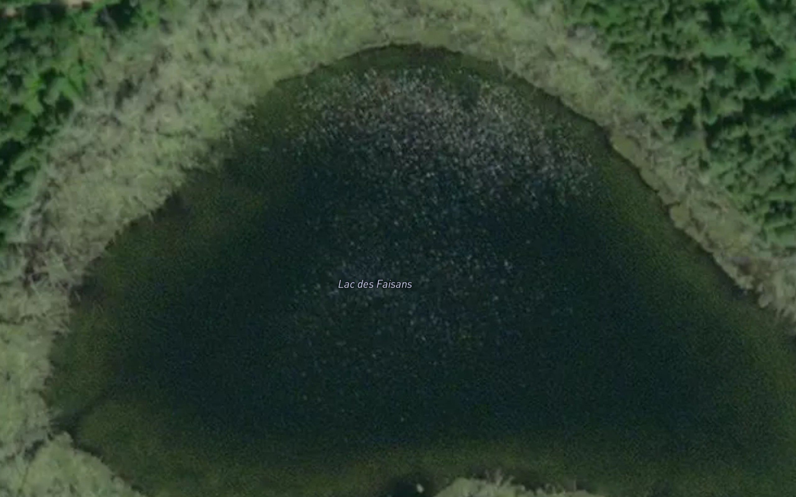 Lac des Faisans