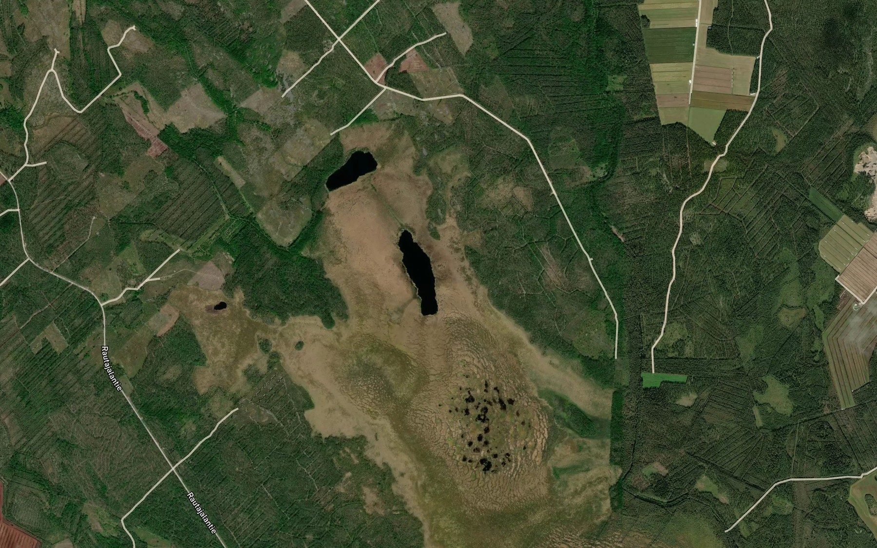 Satellite map of the Vidonjarvi