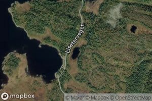 Svarttjern