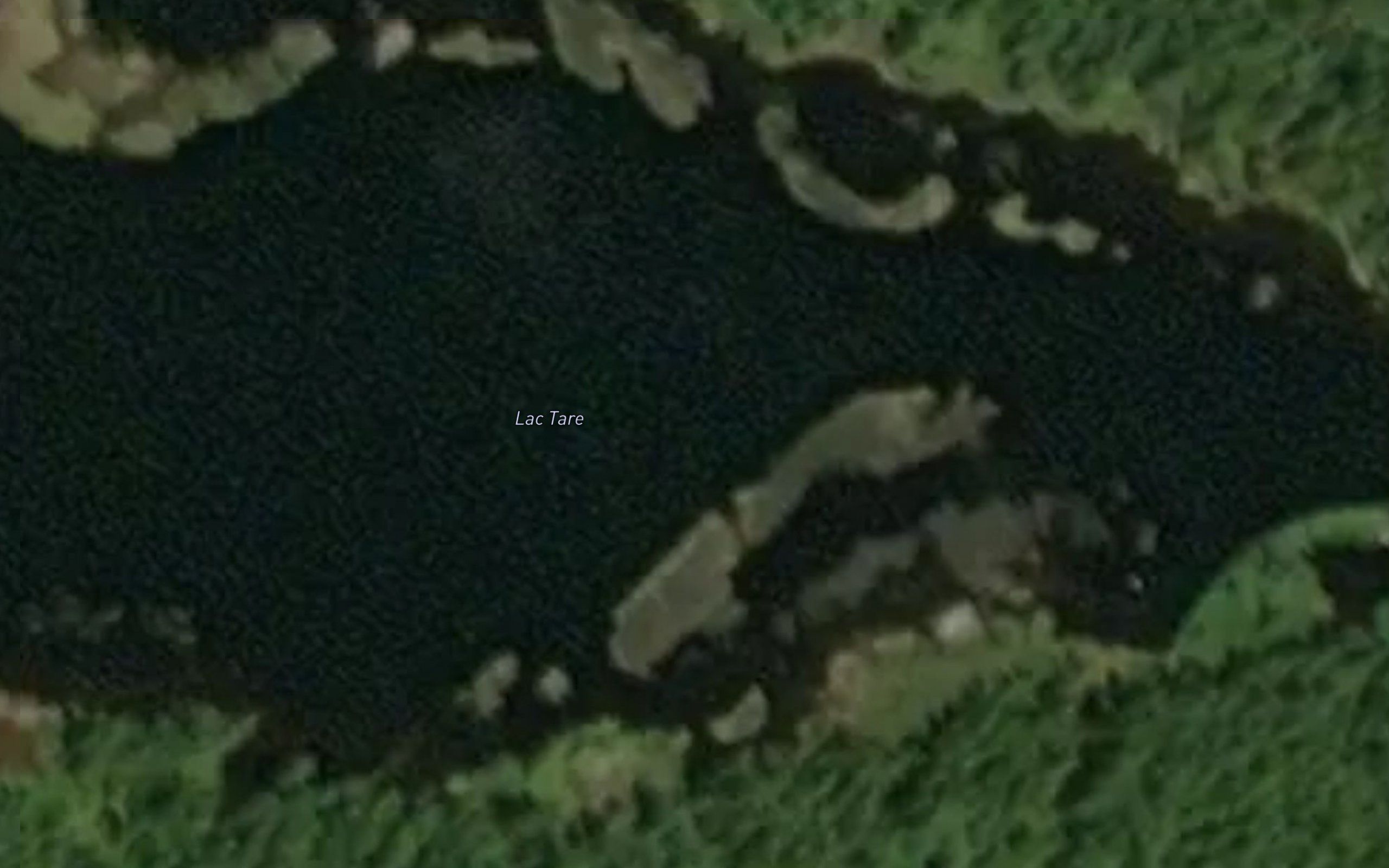 Lac Tare