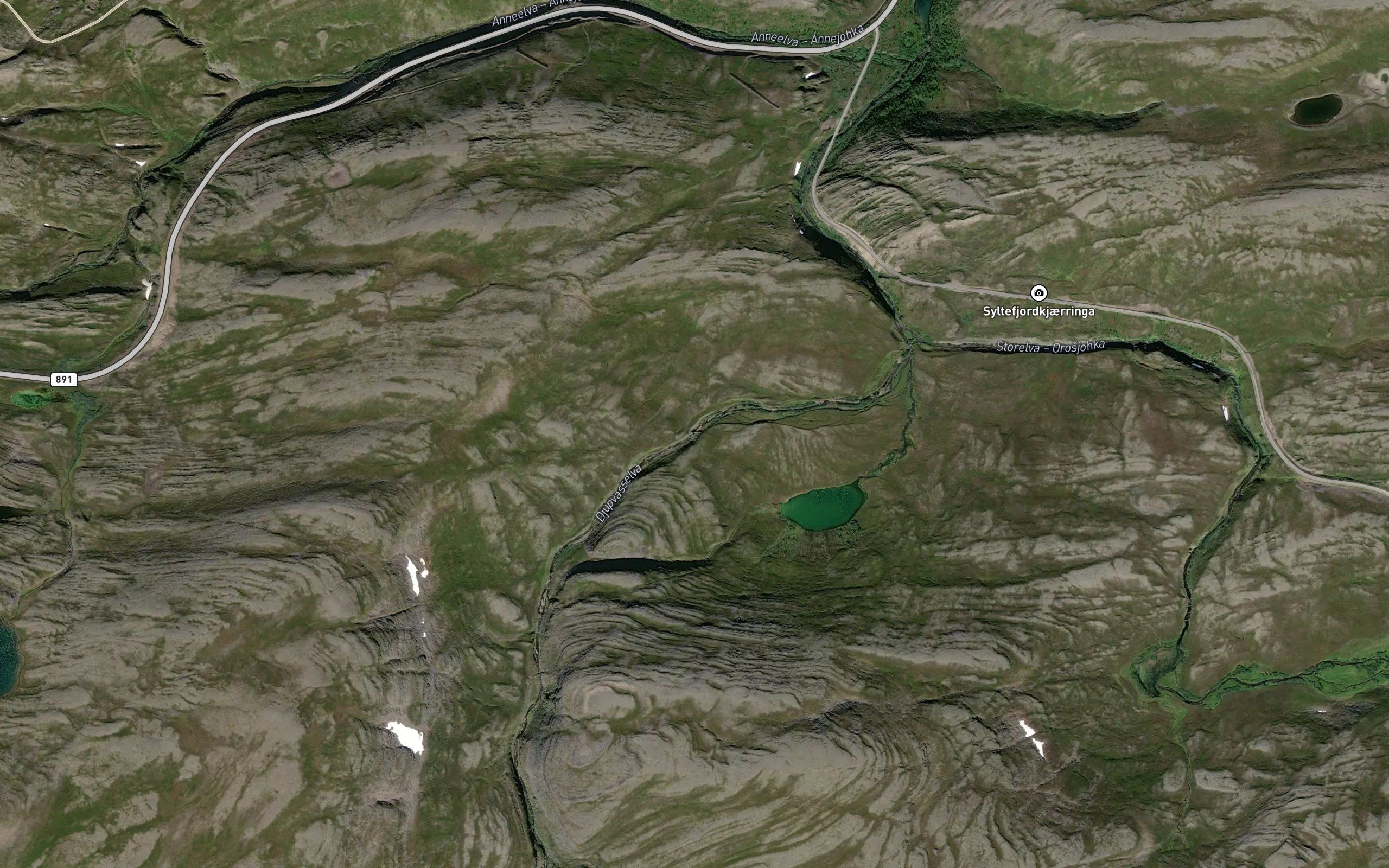 Djupvasselva