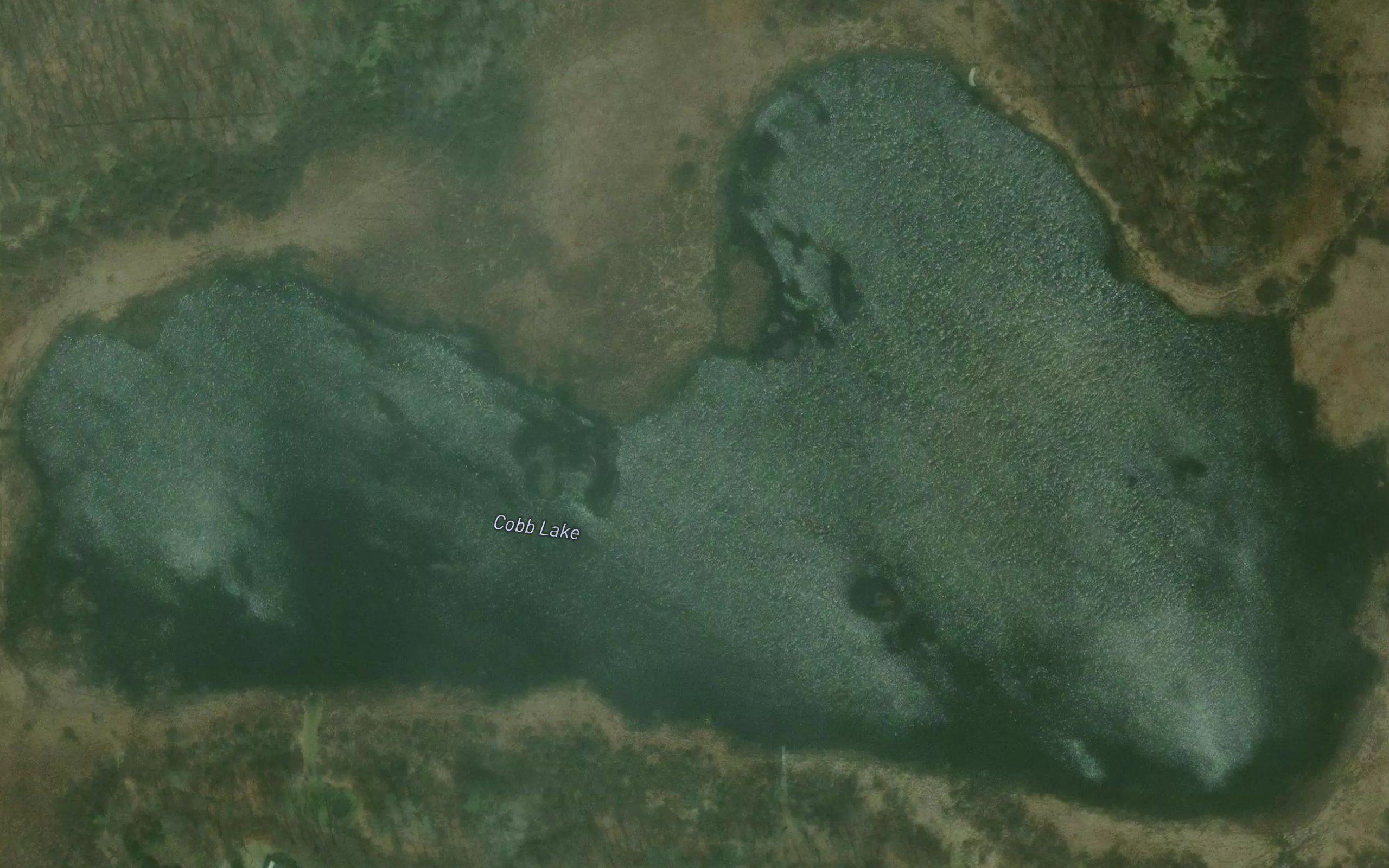 Cobb Lake