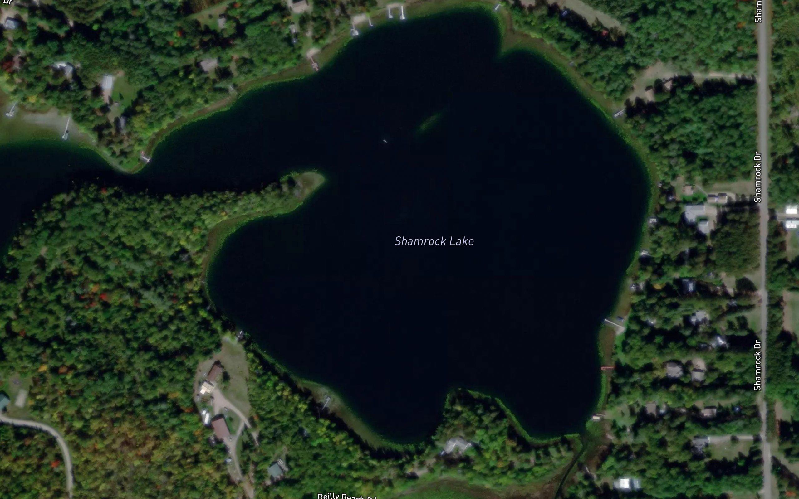 Shamrock Lake