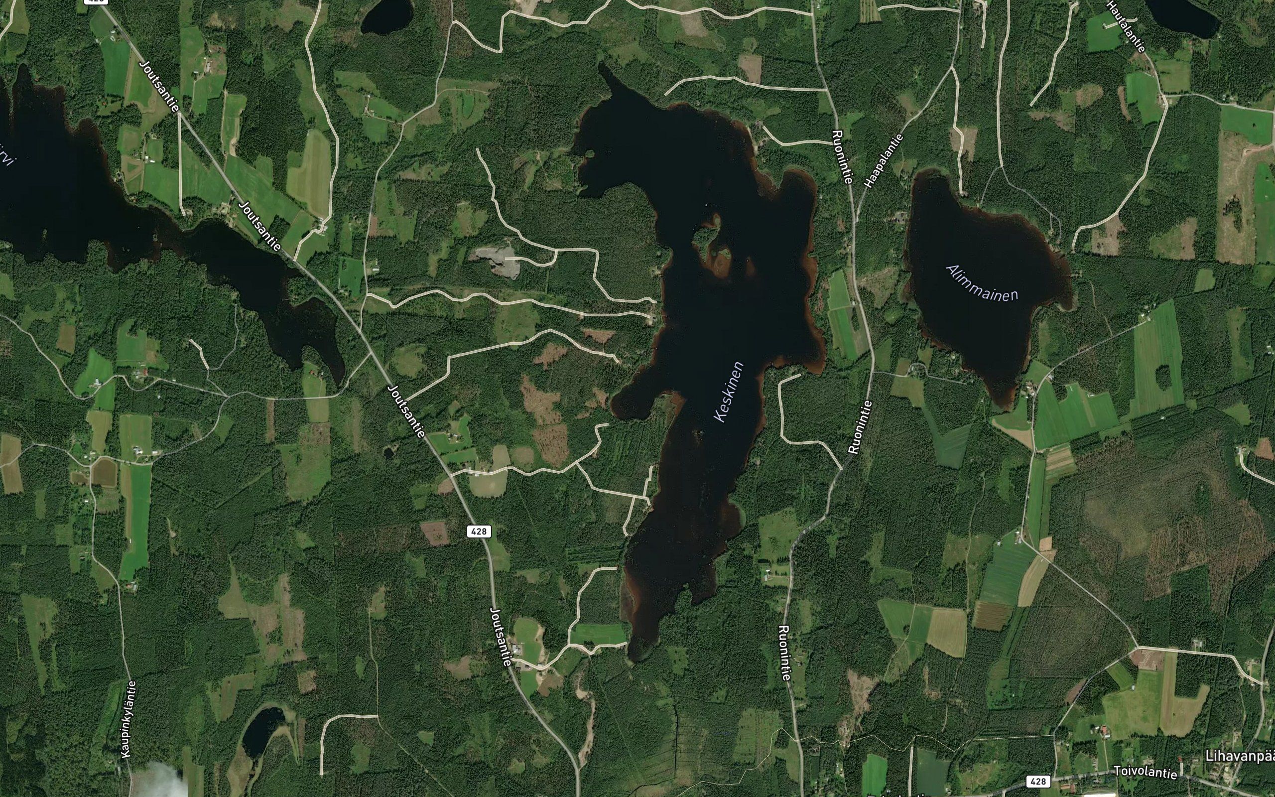 Punamultalahti