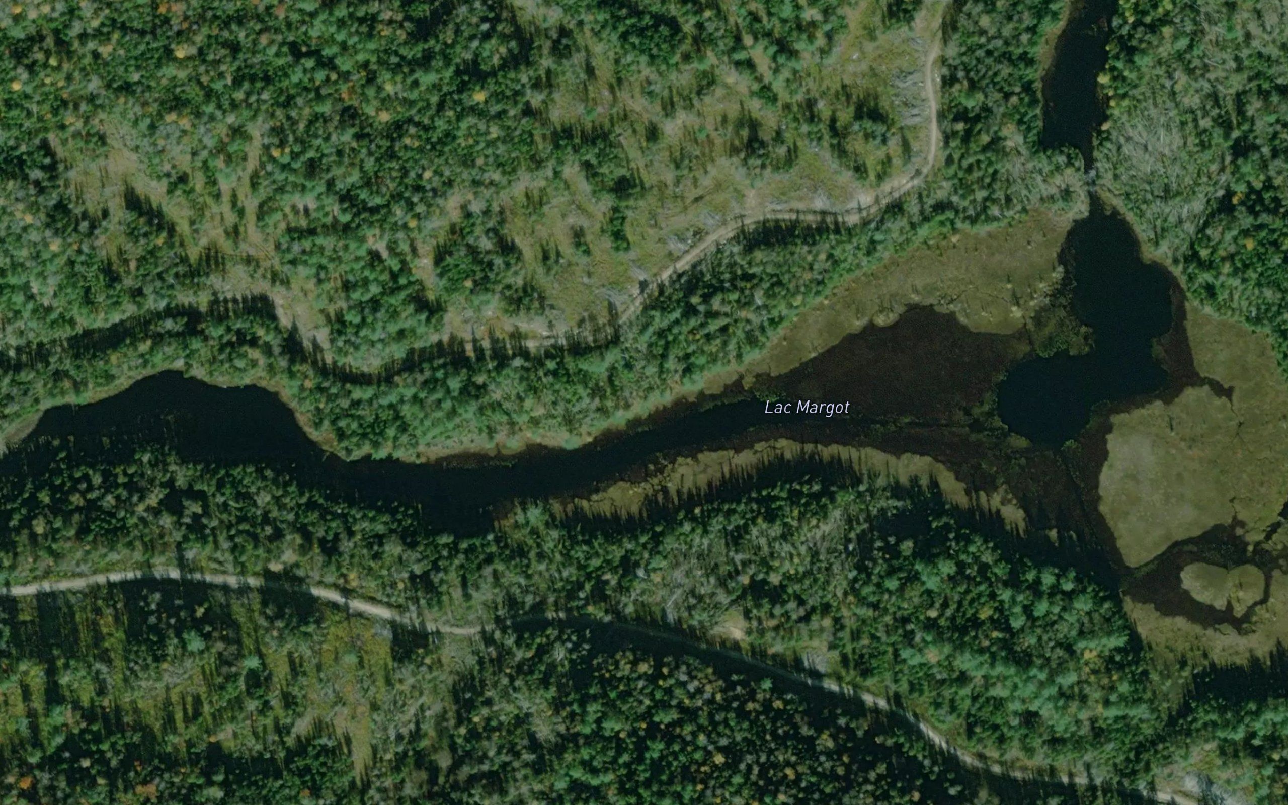 Lac Margot