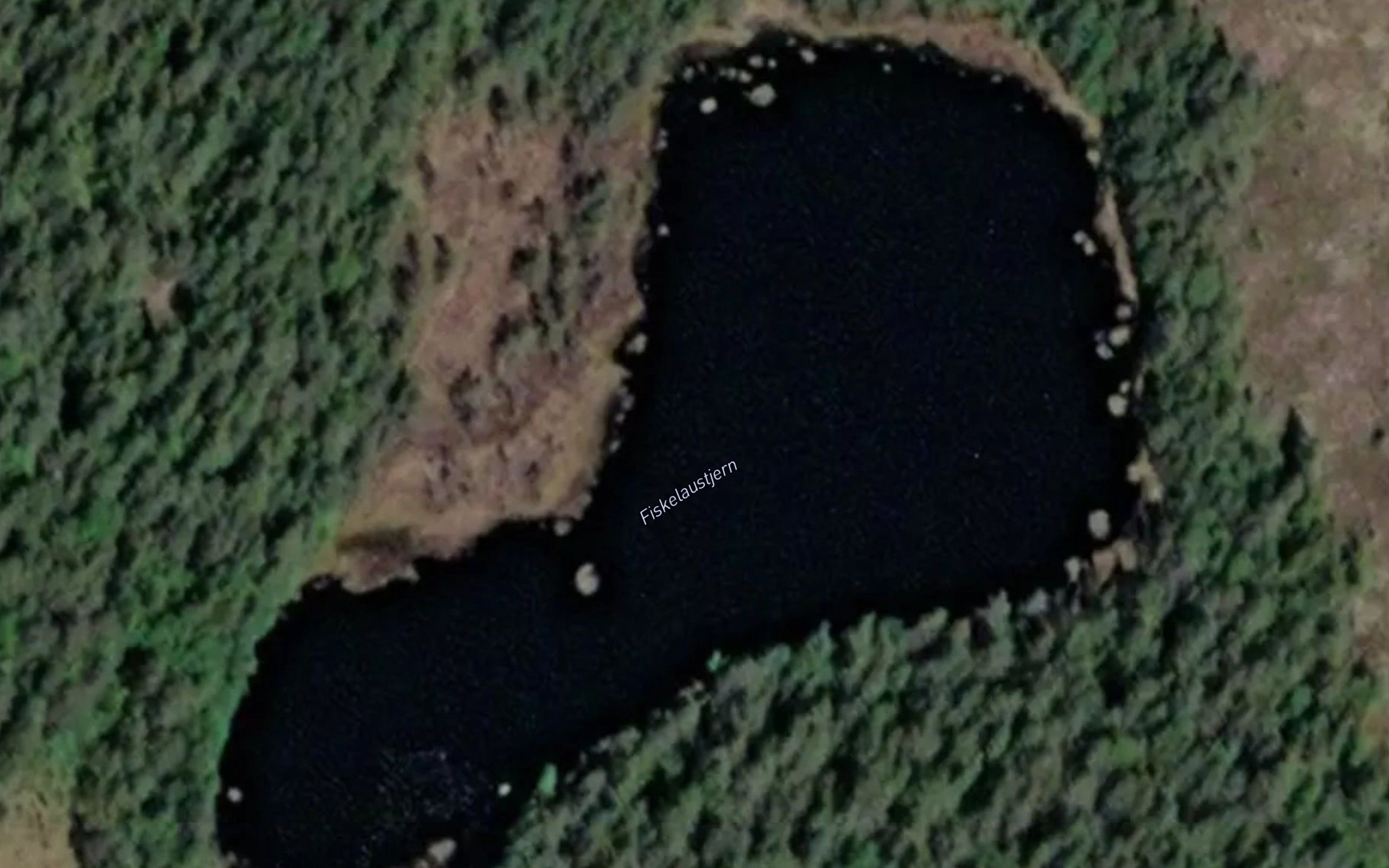 Fiskelaustjern