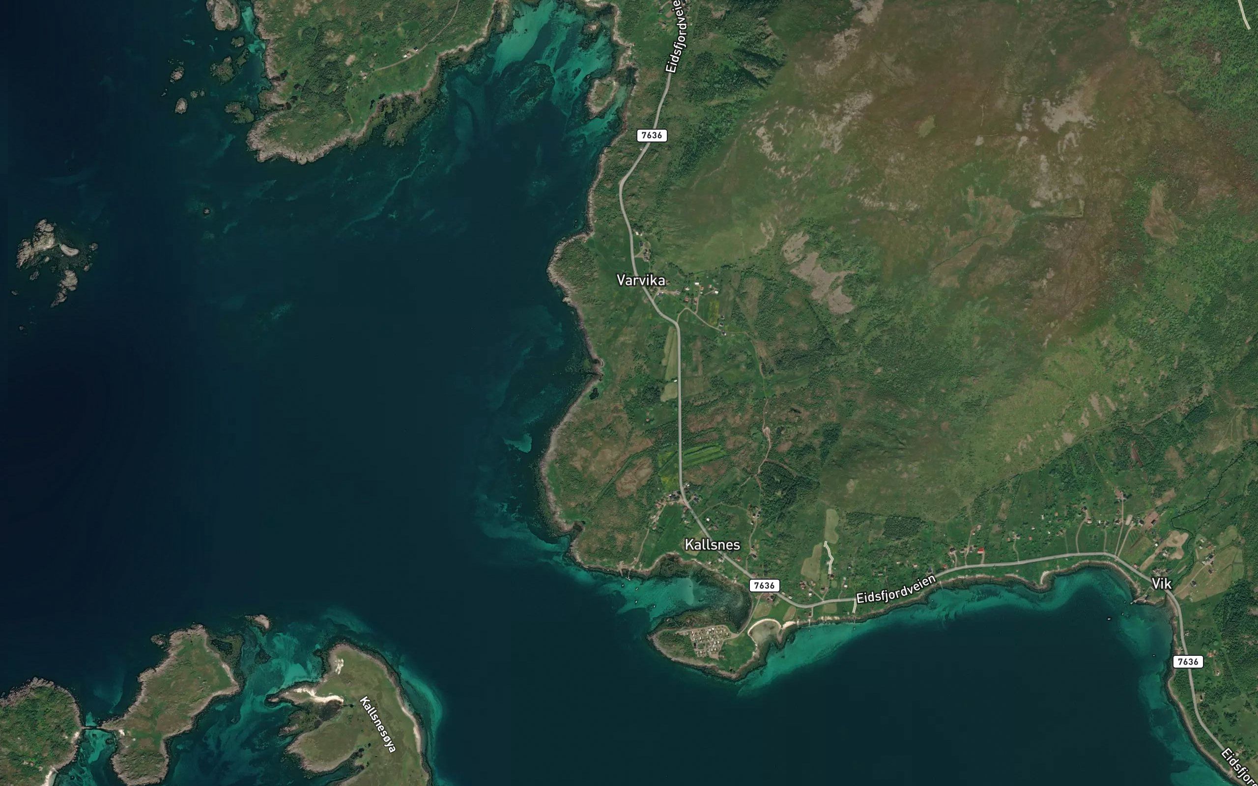 Skamlielva
