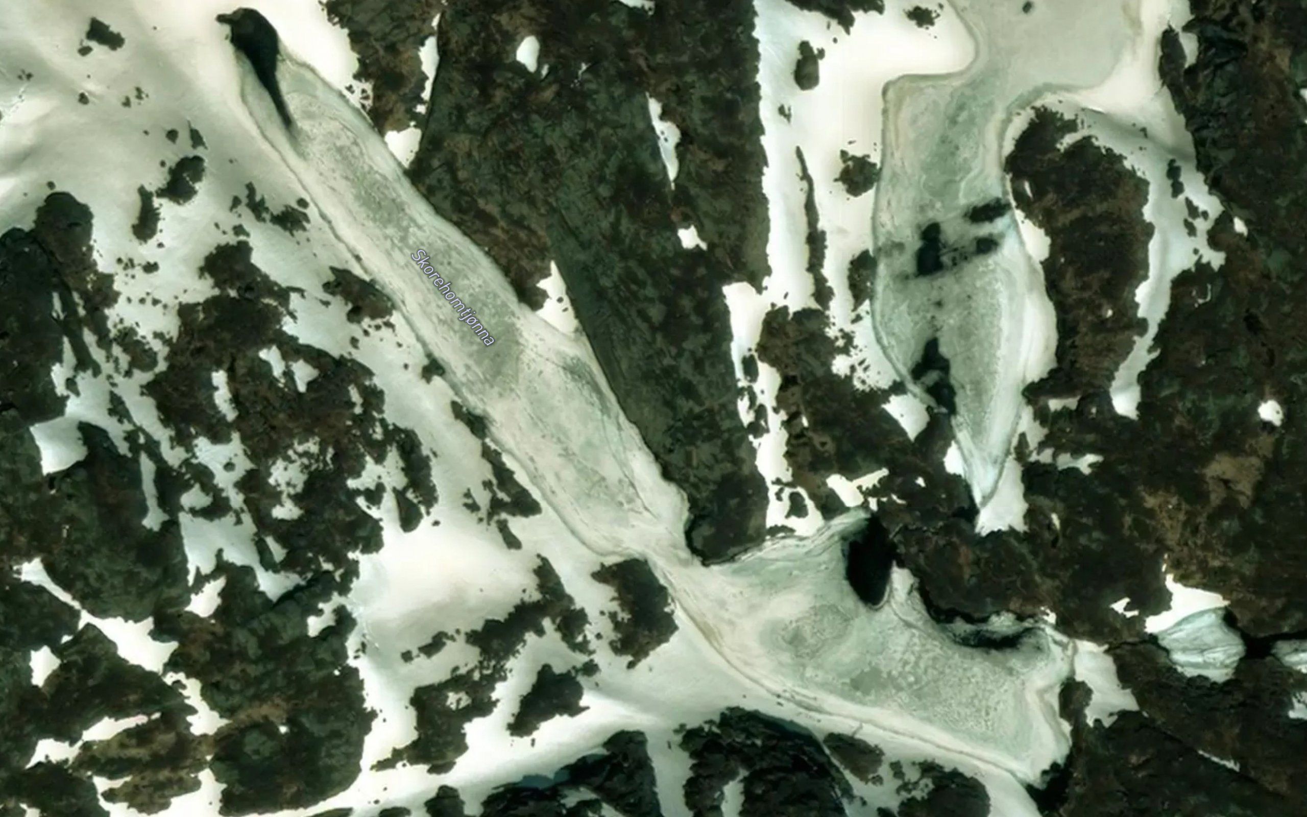 Skorehomtjonna