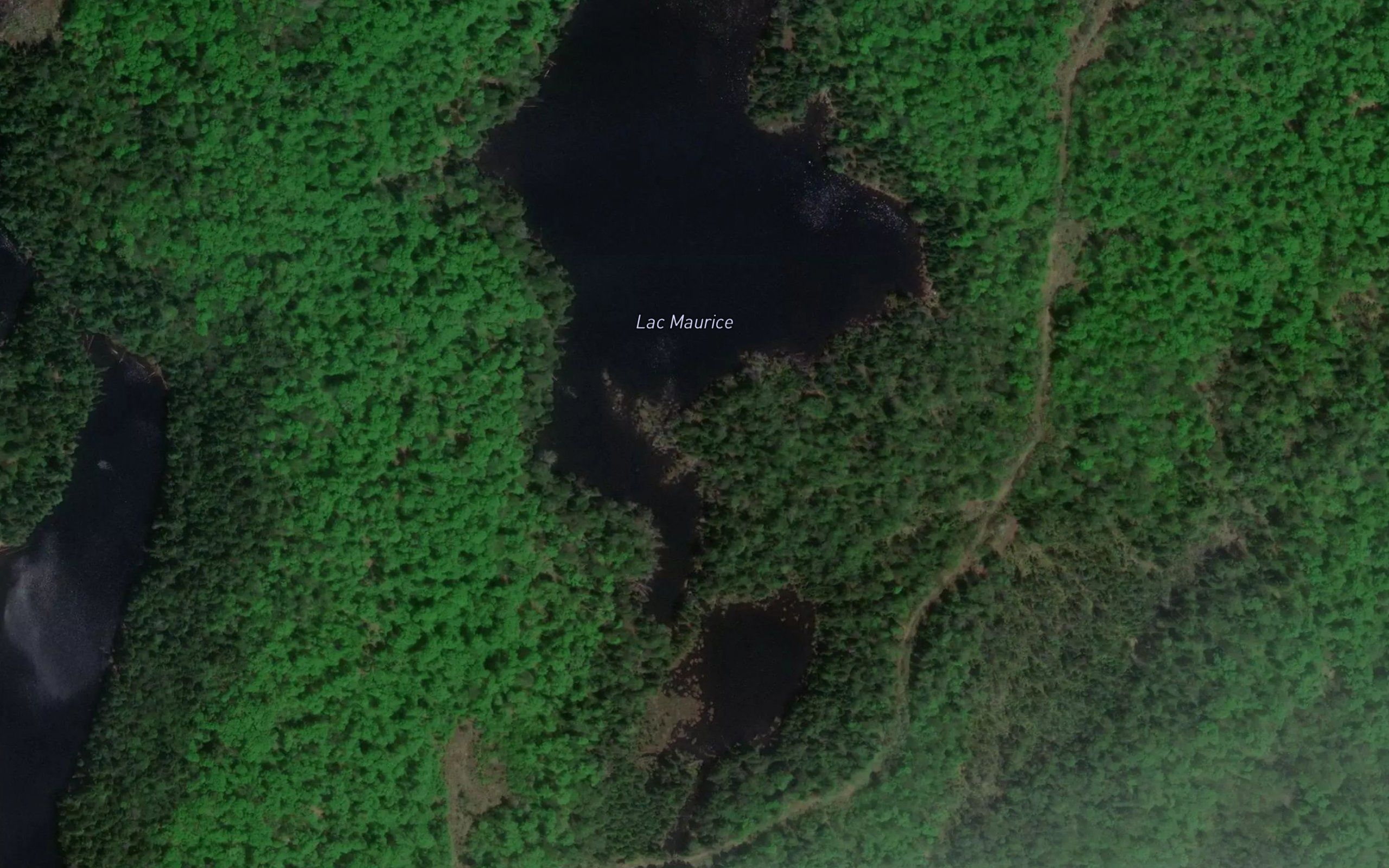 Lac Maurice