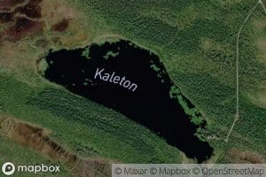 Kaleton