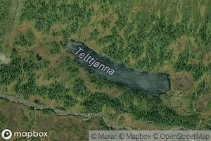Telttjorna