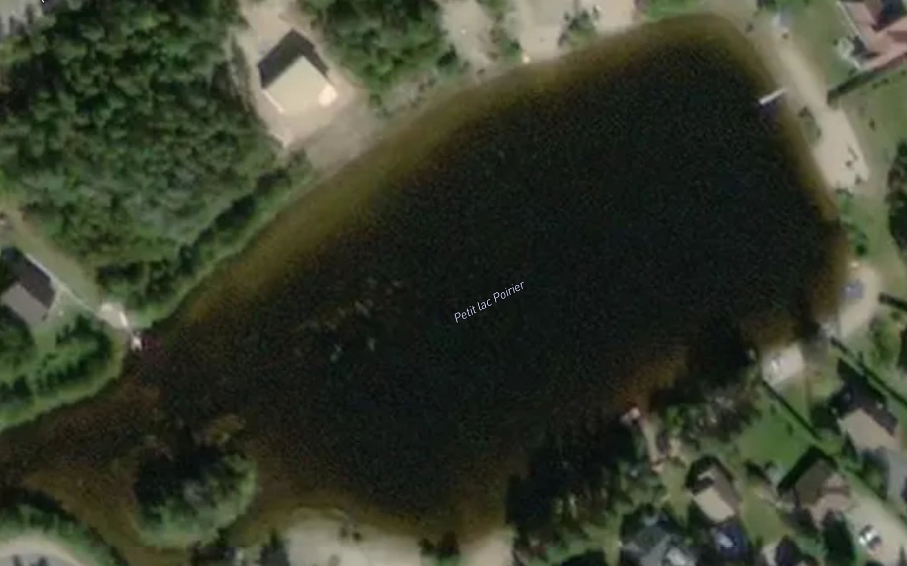 Satellite map of the Petit lac Poirier