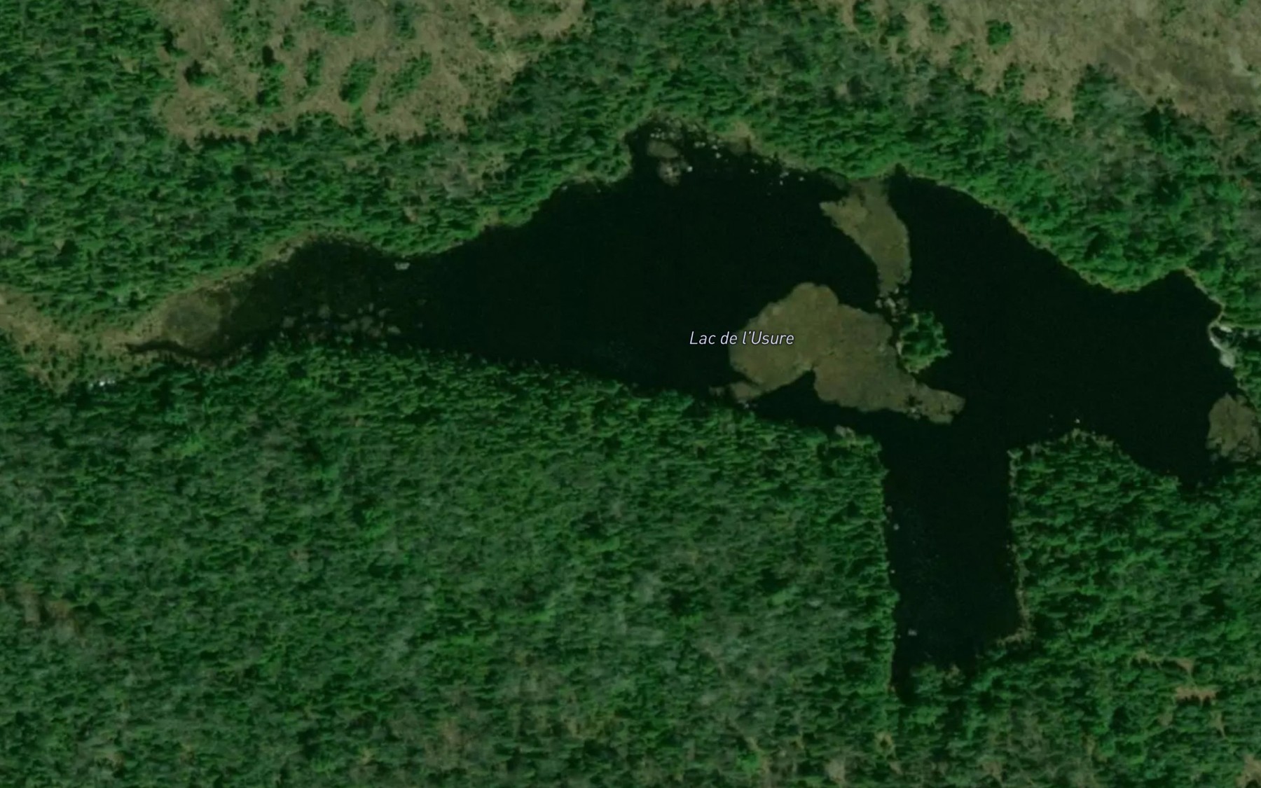 Satellite map of the Lac de l'Usure