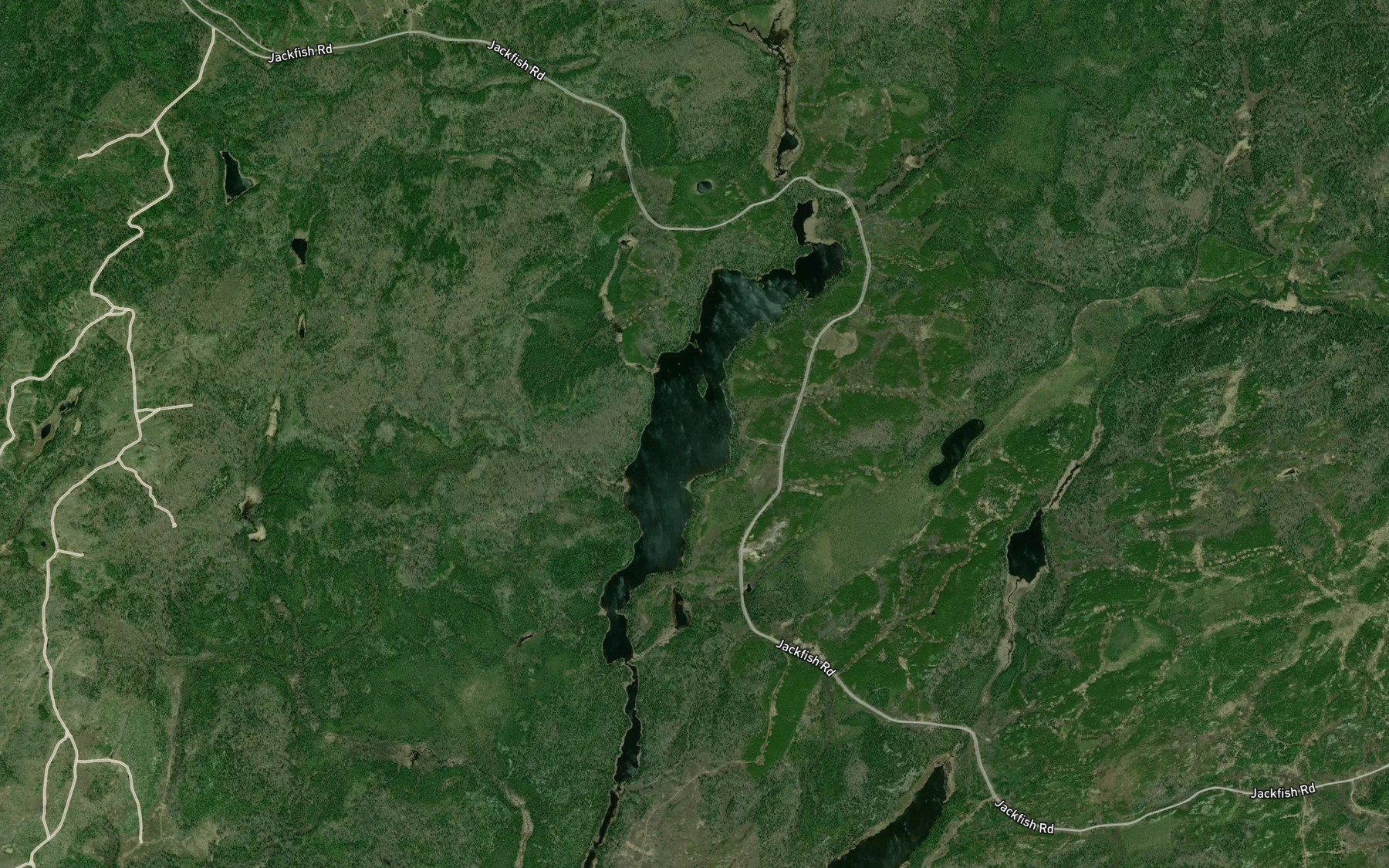 Satellite map of the Seymour Lake