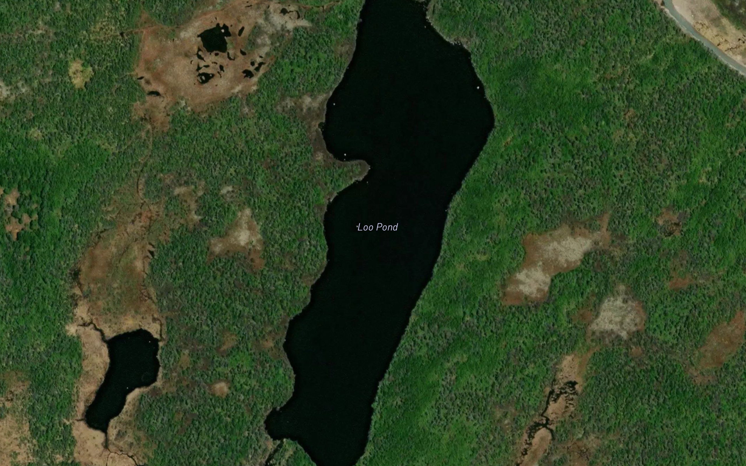 Loo Pond
