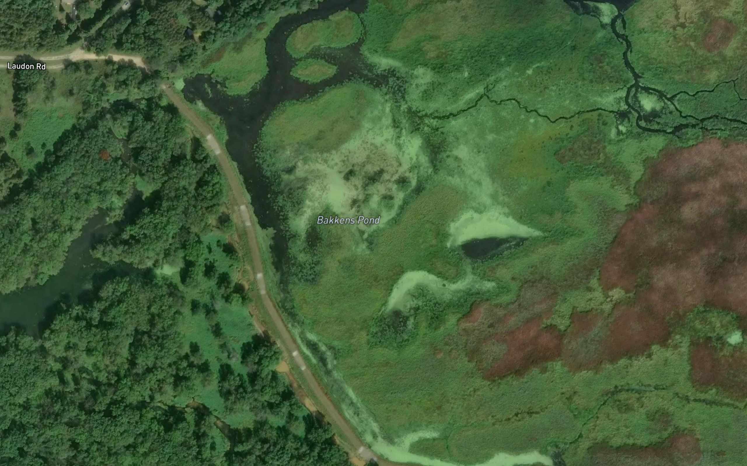 Bakkens Pond
