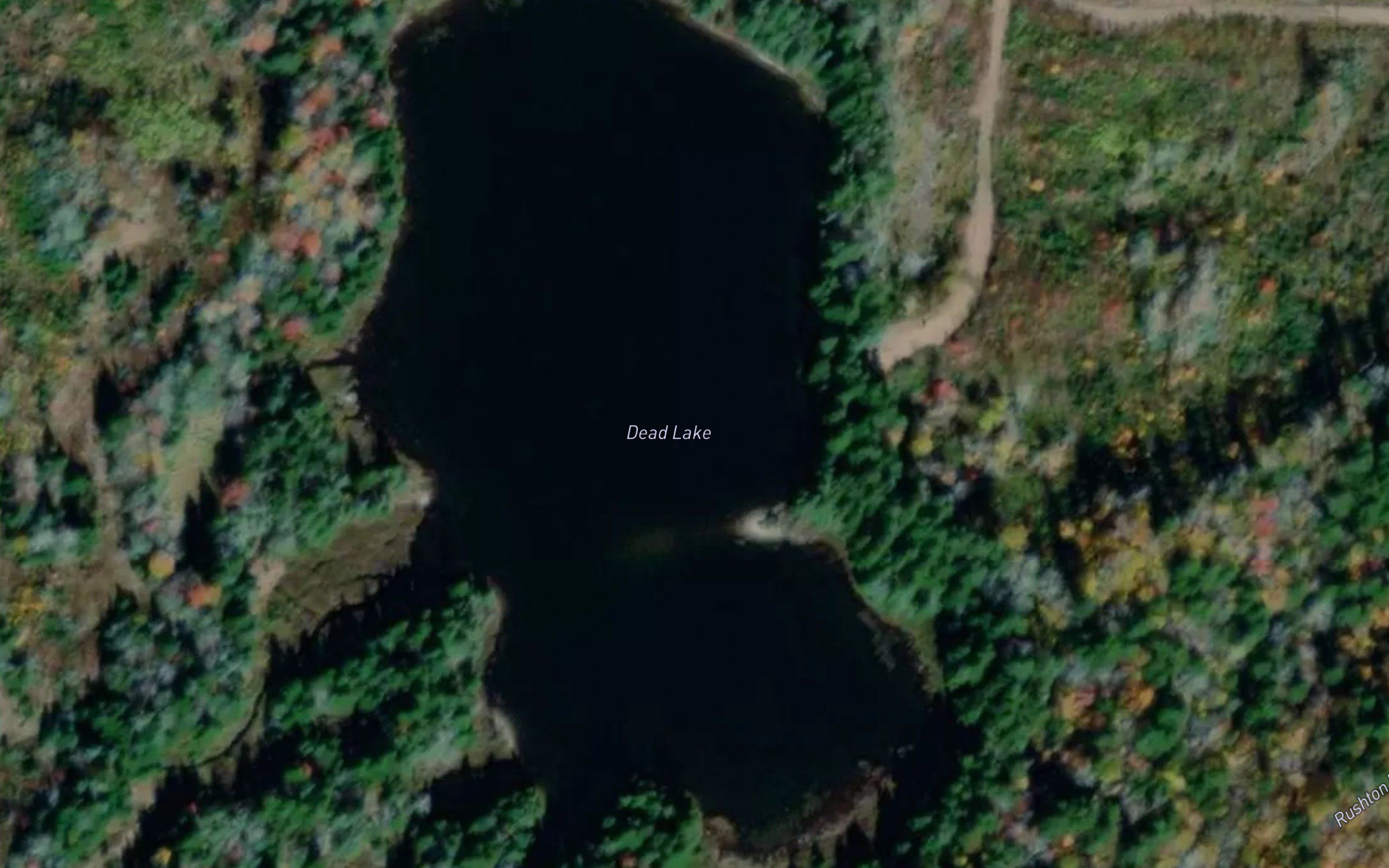 Dead Lake