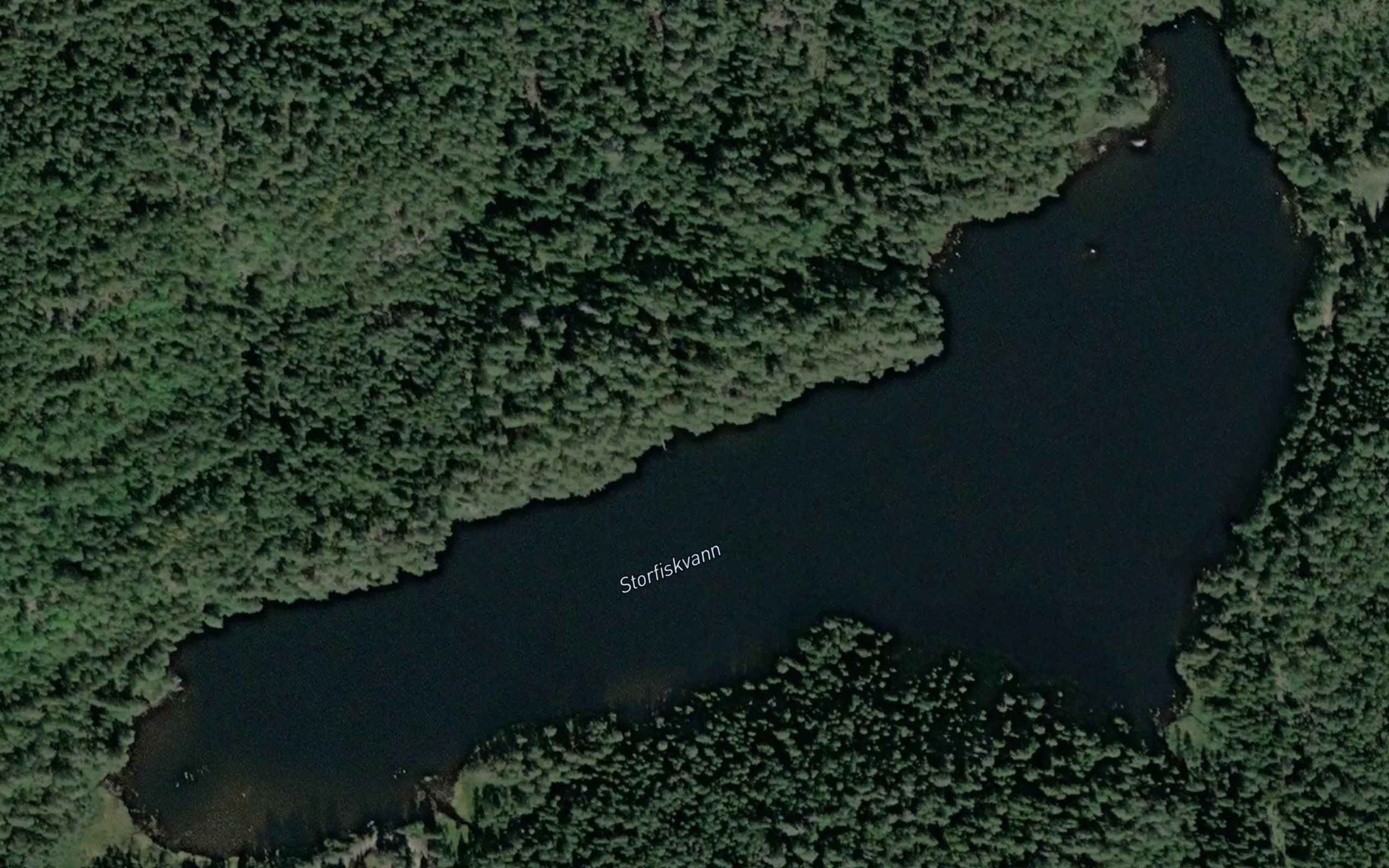 Storfiskvann