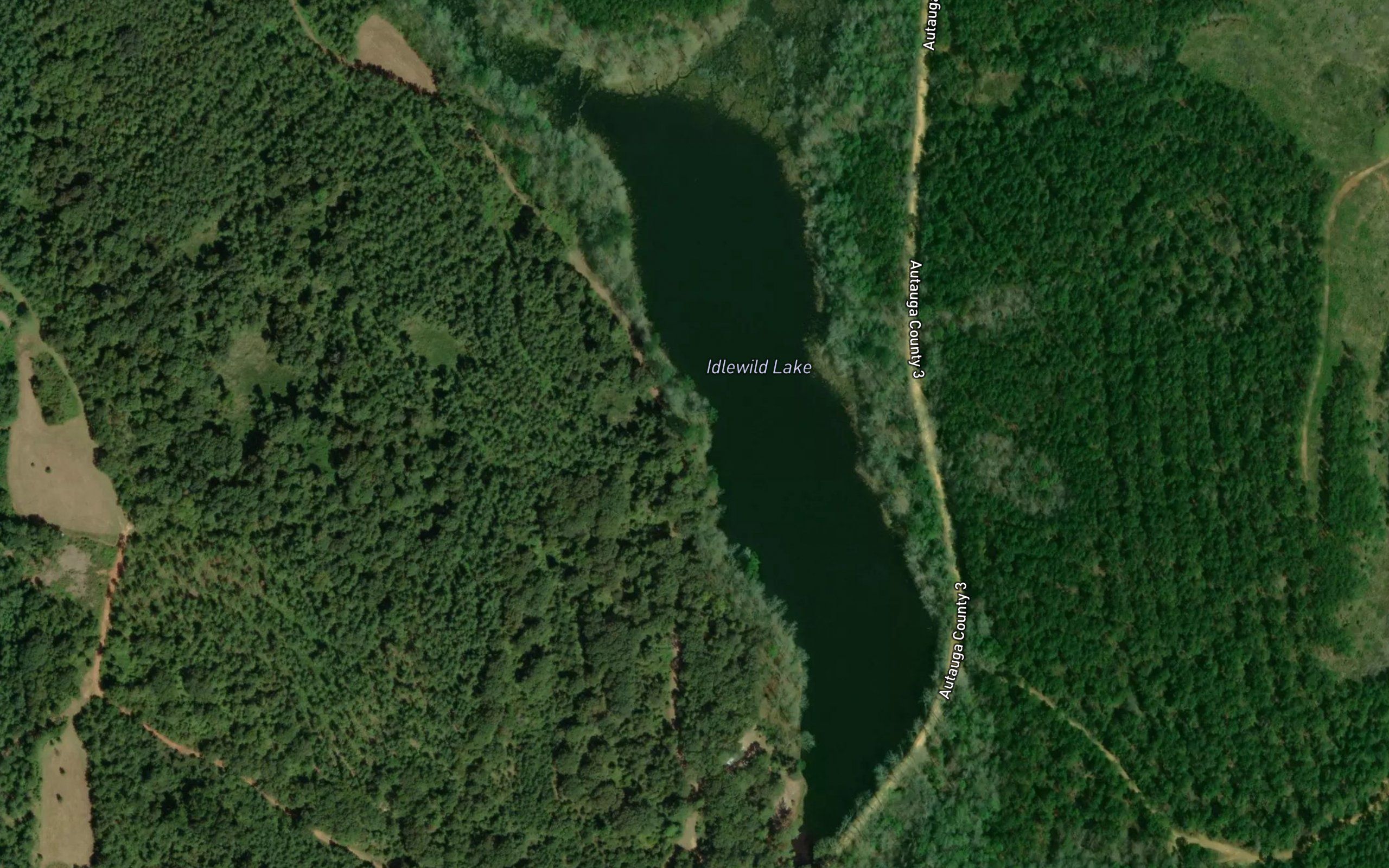 Idlewild Lake