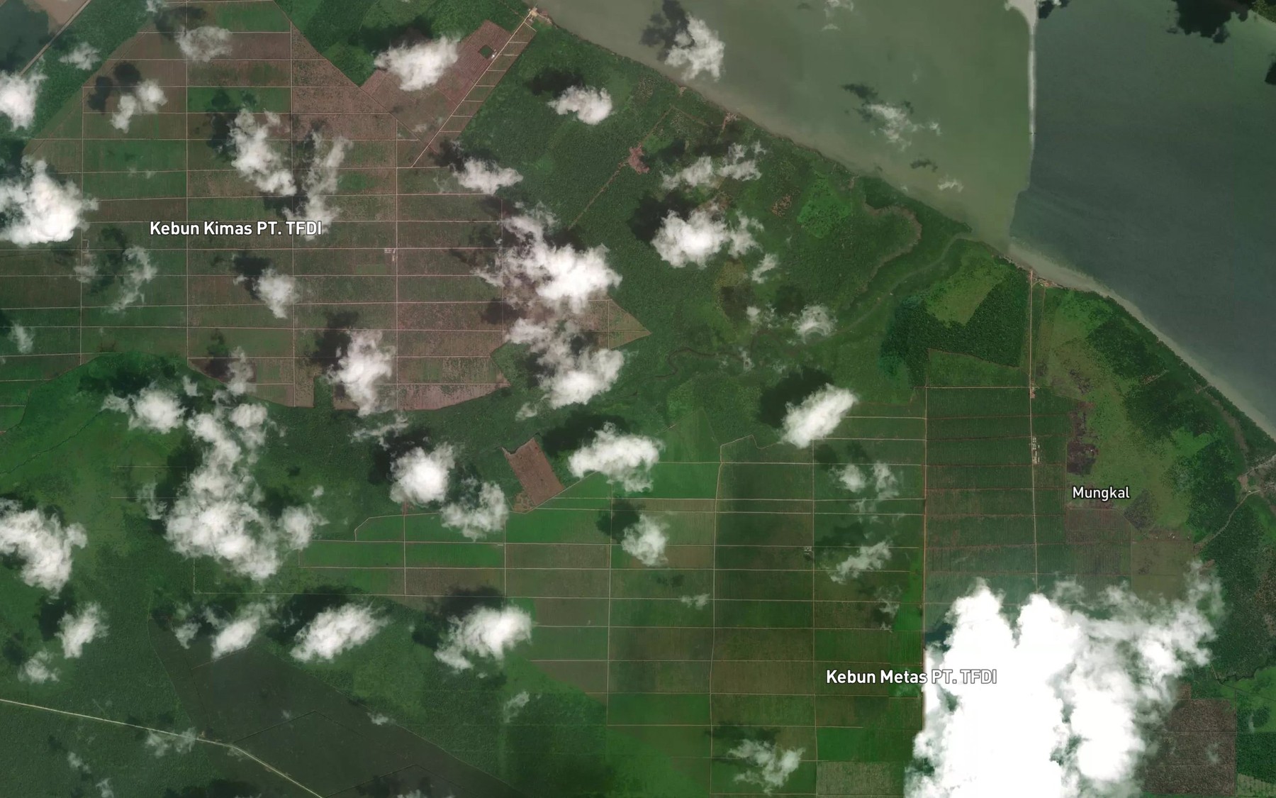 Satellite map of the Sungai Nipa