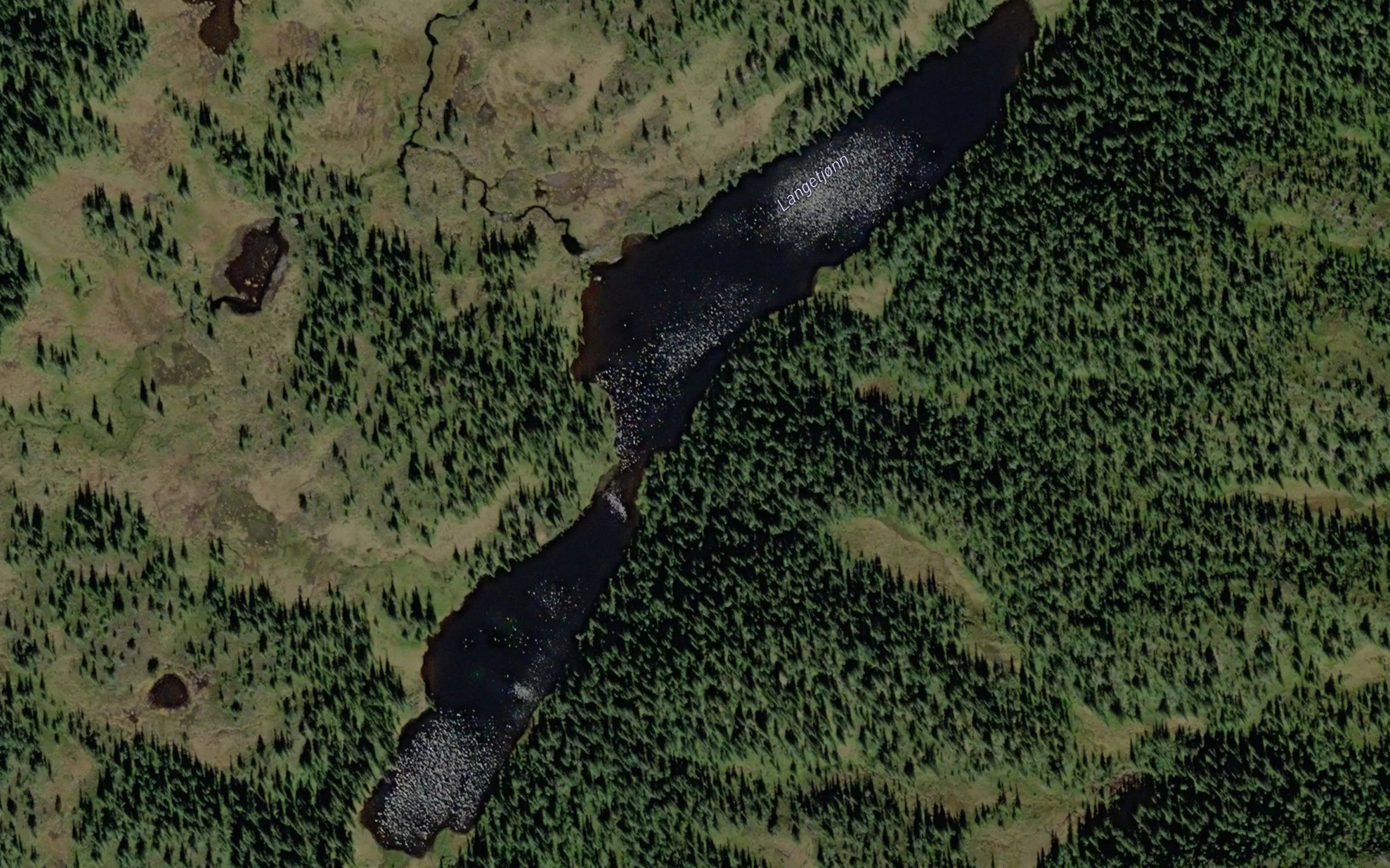 Langetjorn