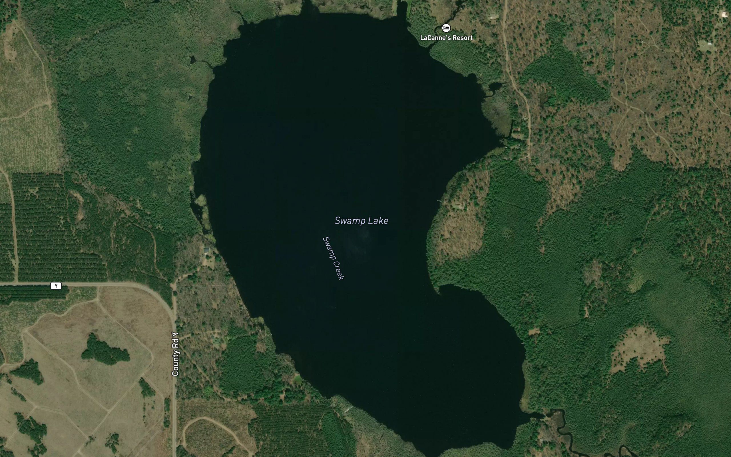 Swamp Lake