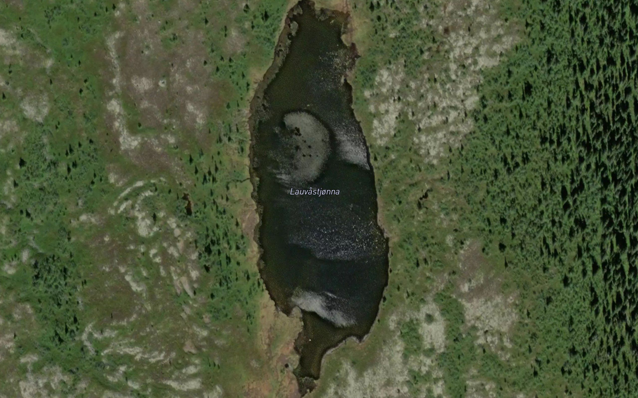 Lauvastjorna