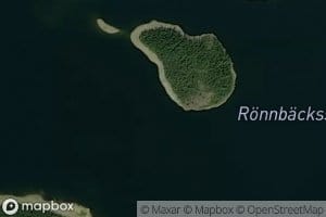 Ronnbacksjon