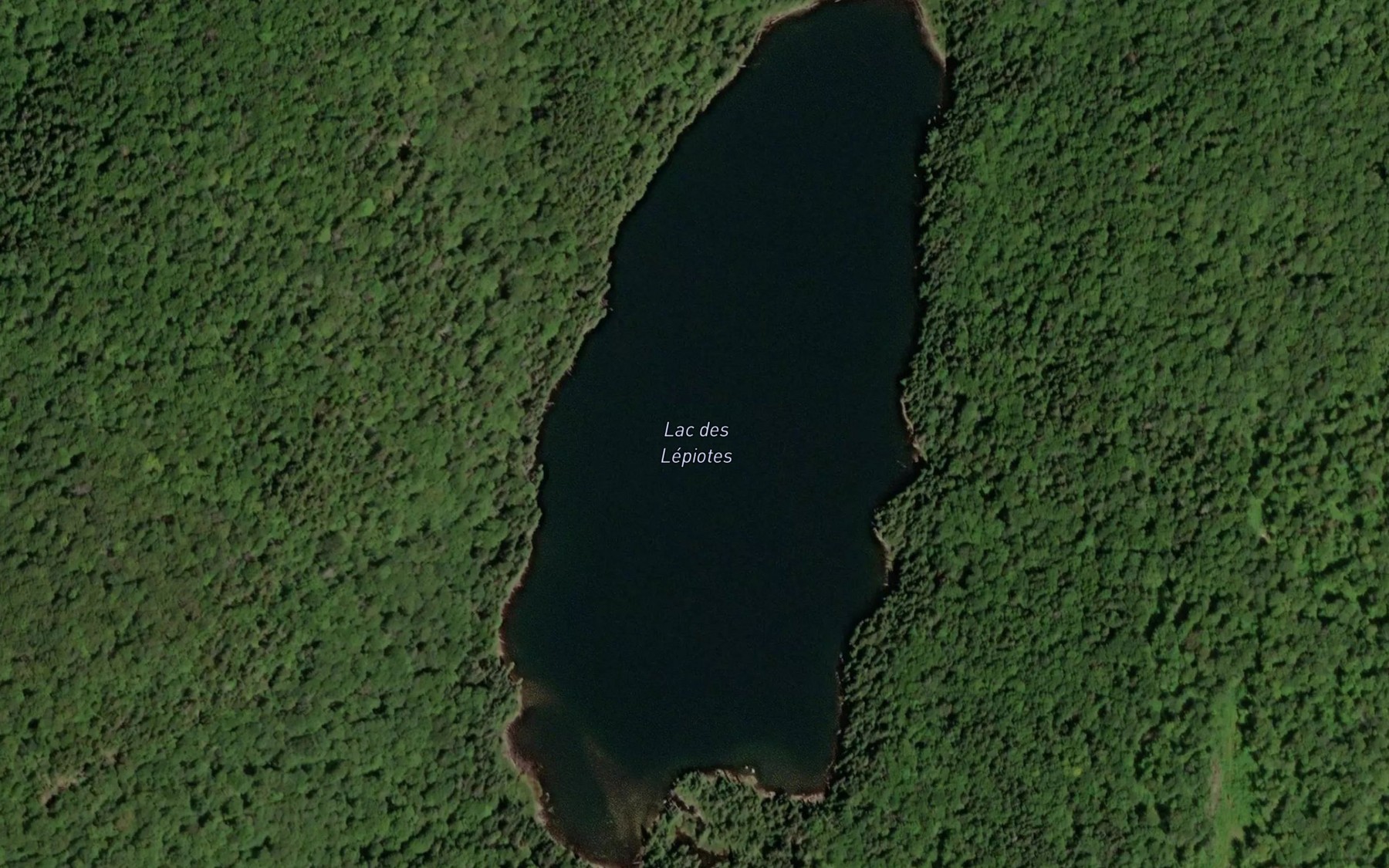 Satellite map of the Lac des Lepiotes