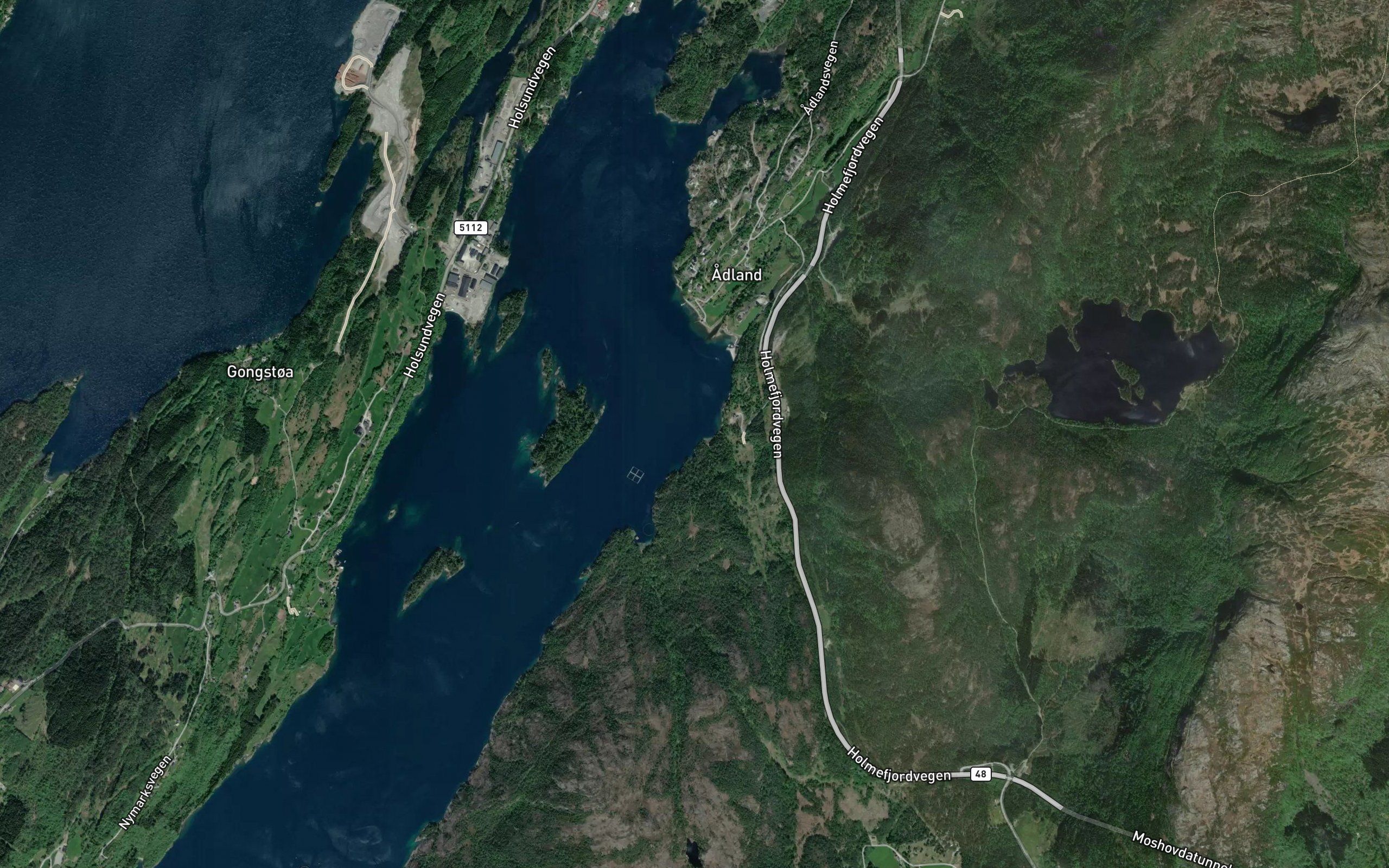Vadvika