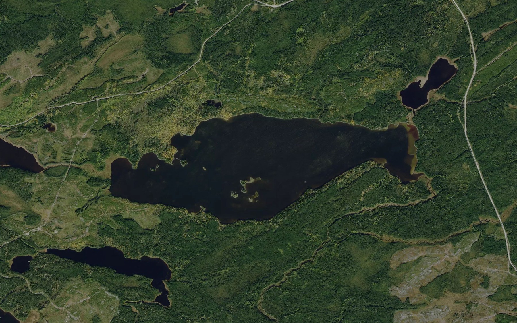 Satellite map of the Root Lake