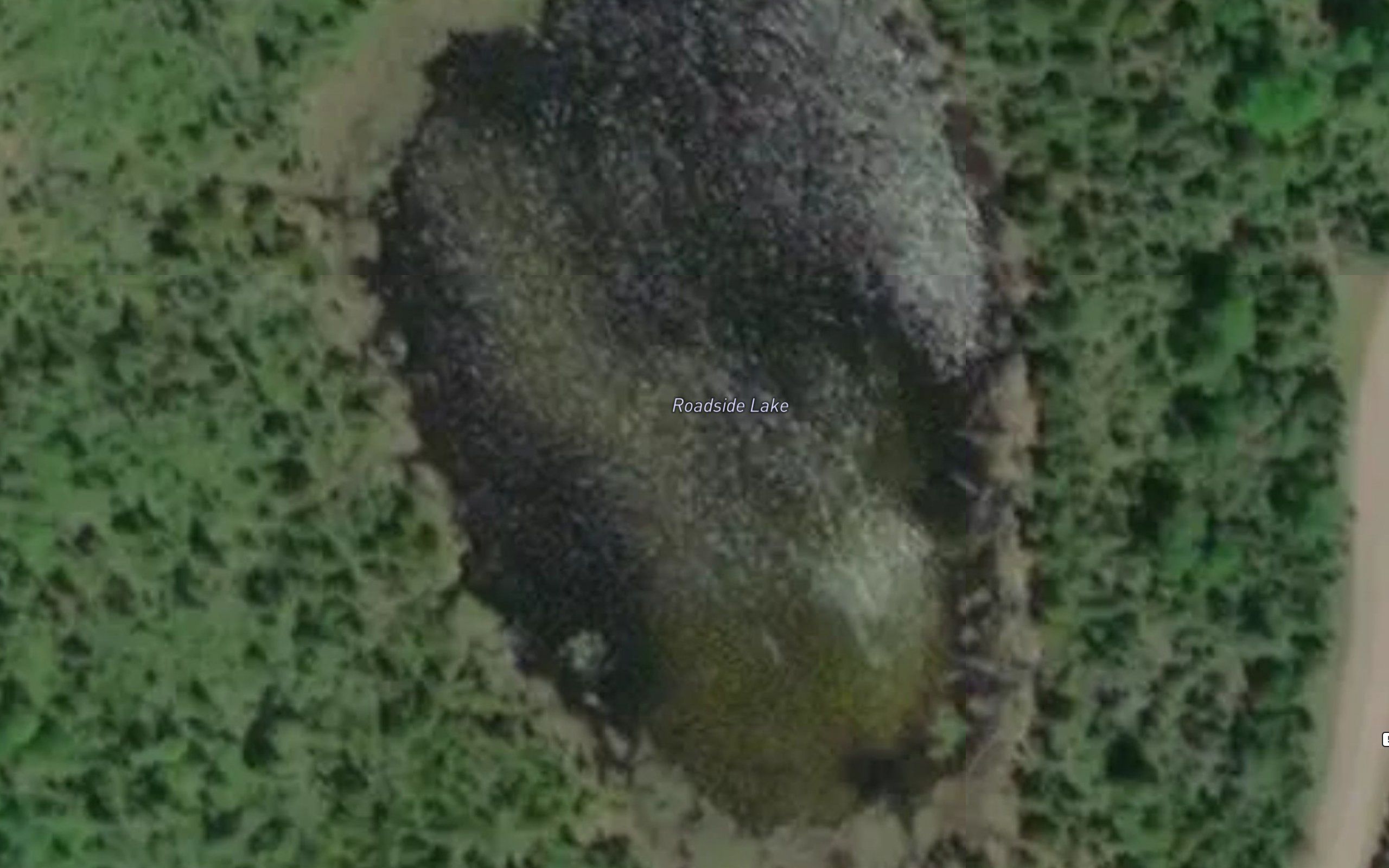 Roadside Lake