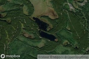 Arthur Lake