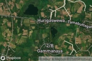 Rajjallegama Wewa