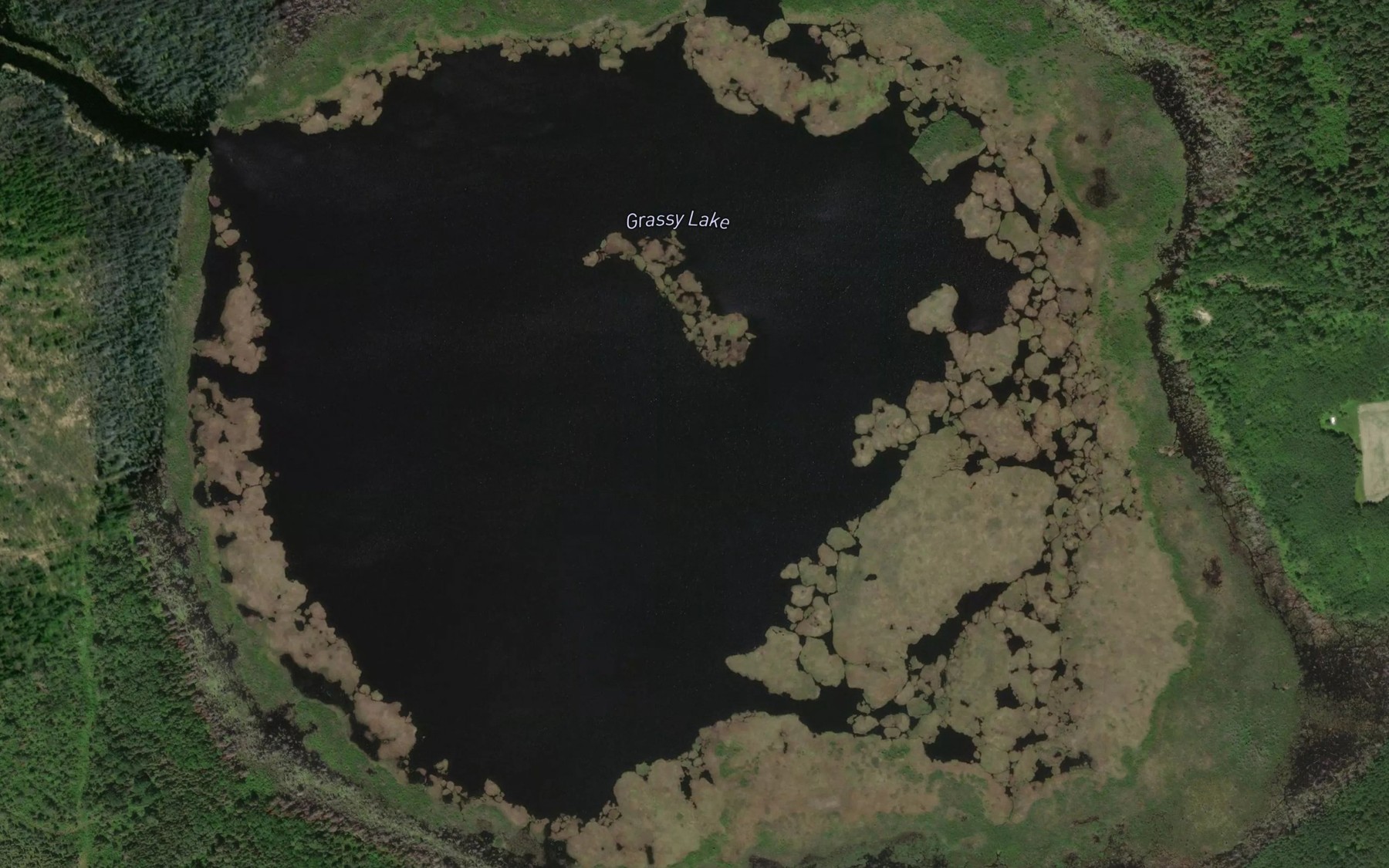 Satellite map of the Grassy Lake
