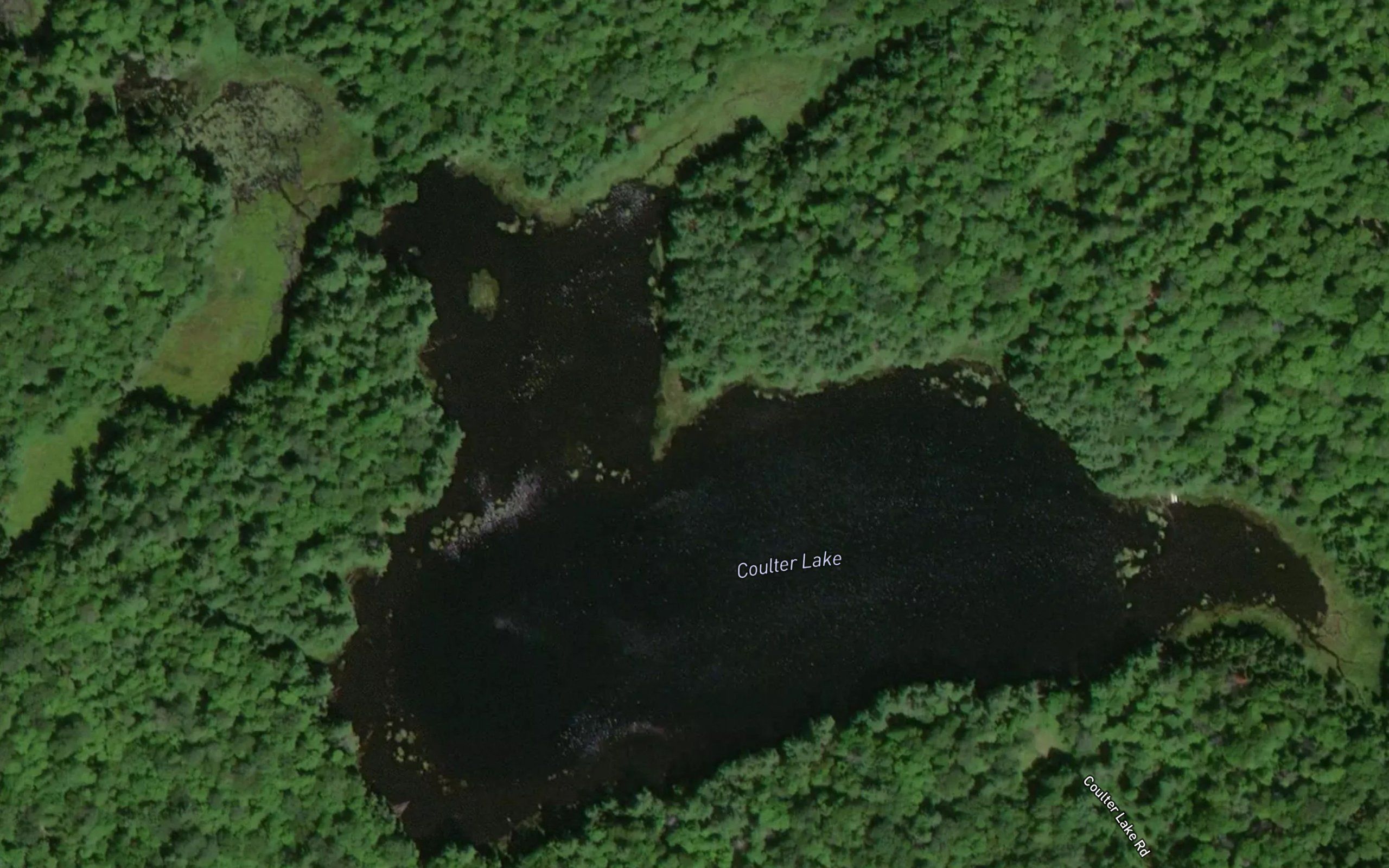 Coulter Lake