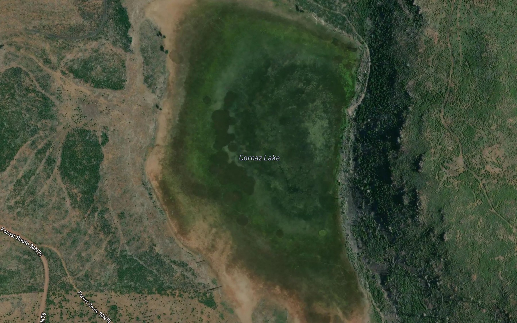 Satellite map of the Cornaz Lake