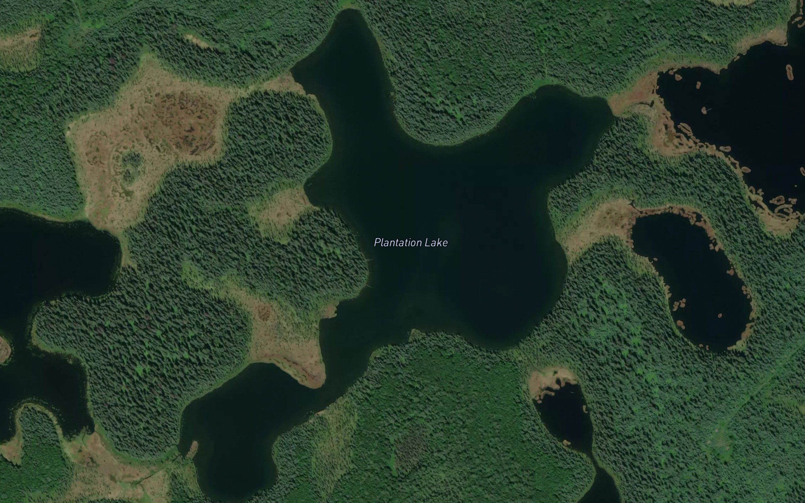 Plantation Lake