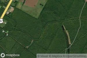 East Prong Willow Bayou